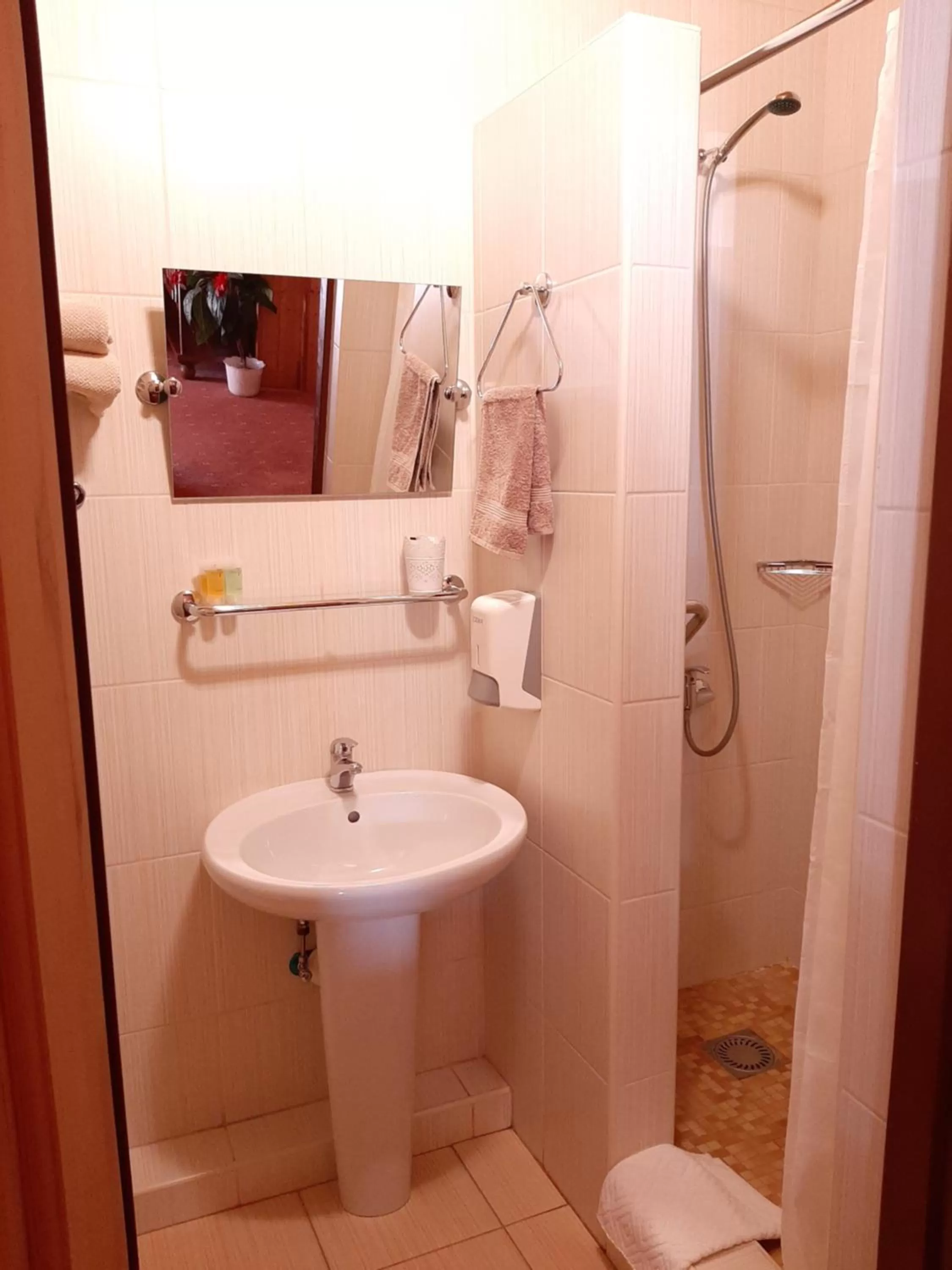 Bathroom in garni Hotel ASAS***