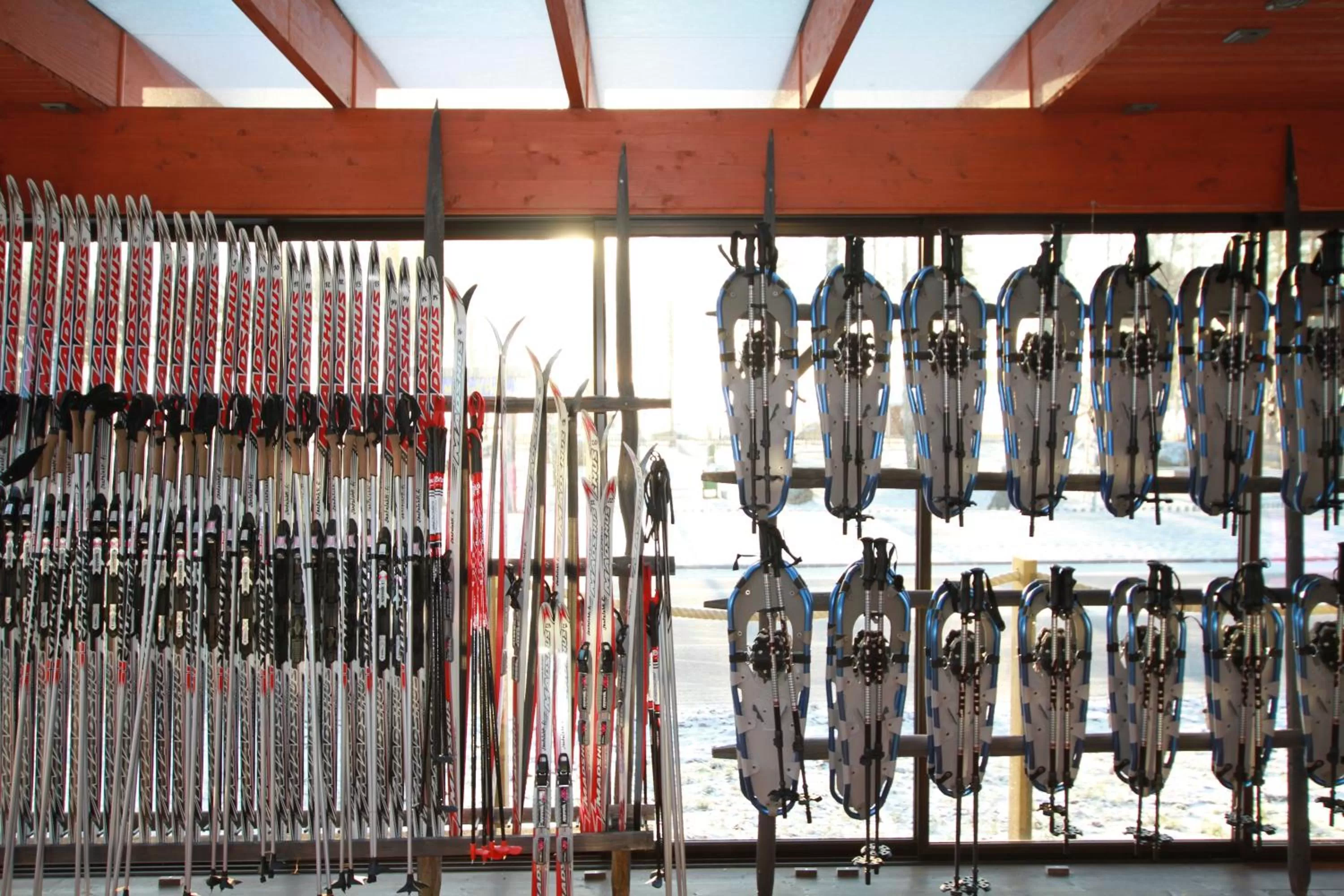 Skiing in Santalahti Resort Cottages & Villas