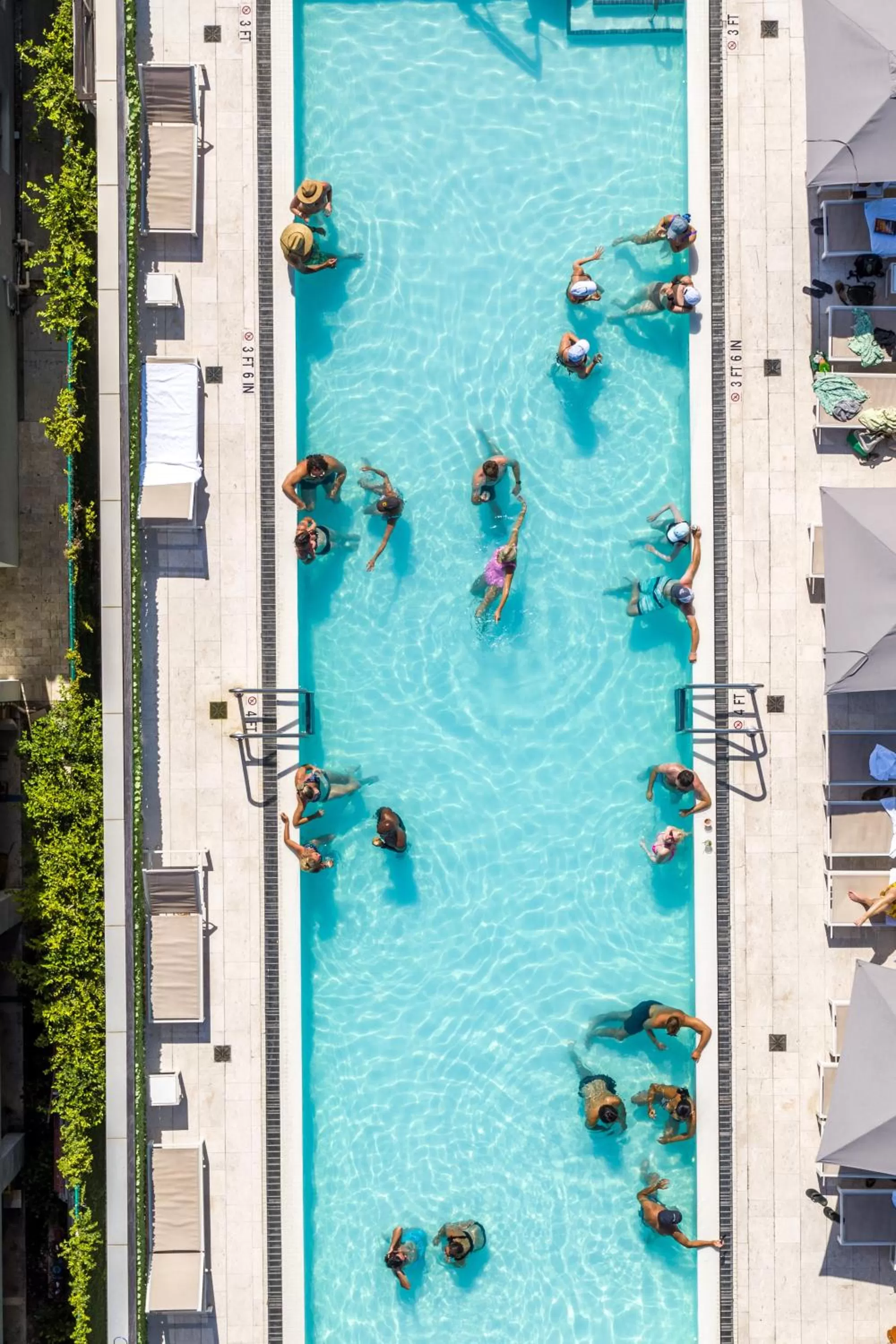 Swimming pool in The Betsy Hotel, South Beach
