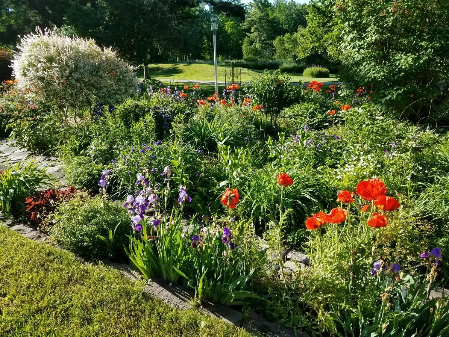 Garden in Pinehurst Inn Bed & Breakfast