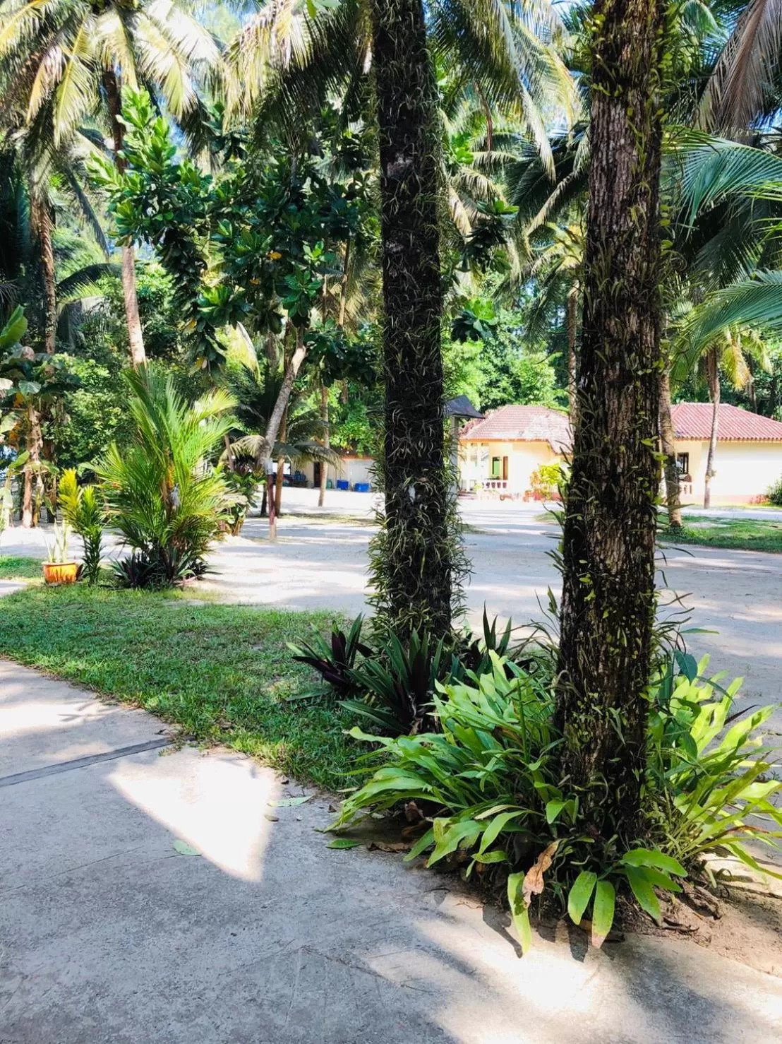 Garden in Ao Thong beach Bungalows