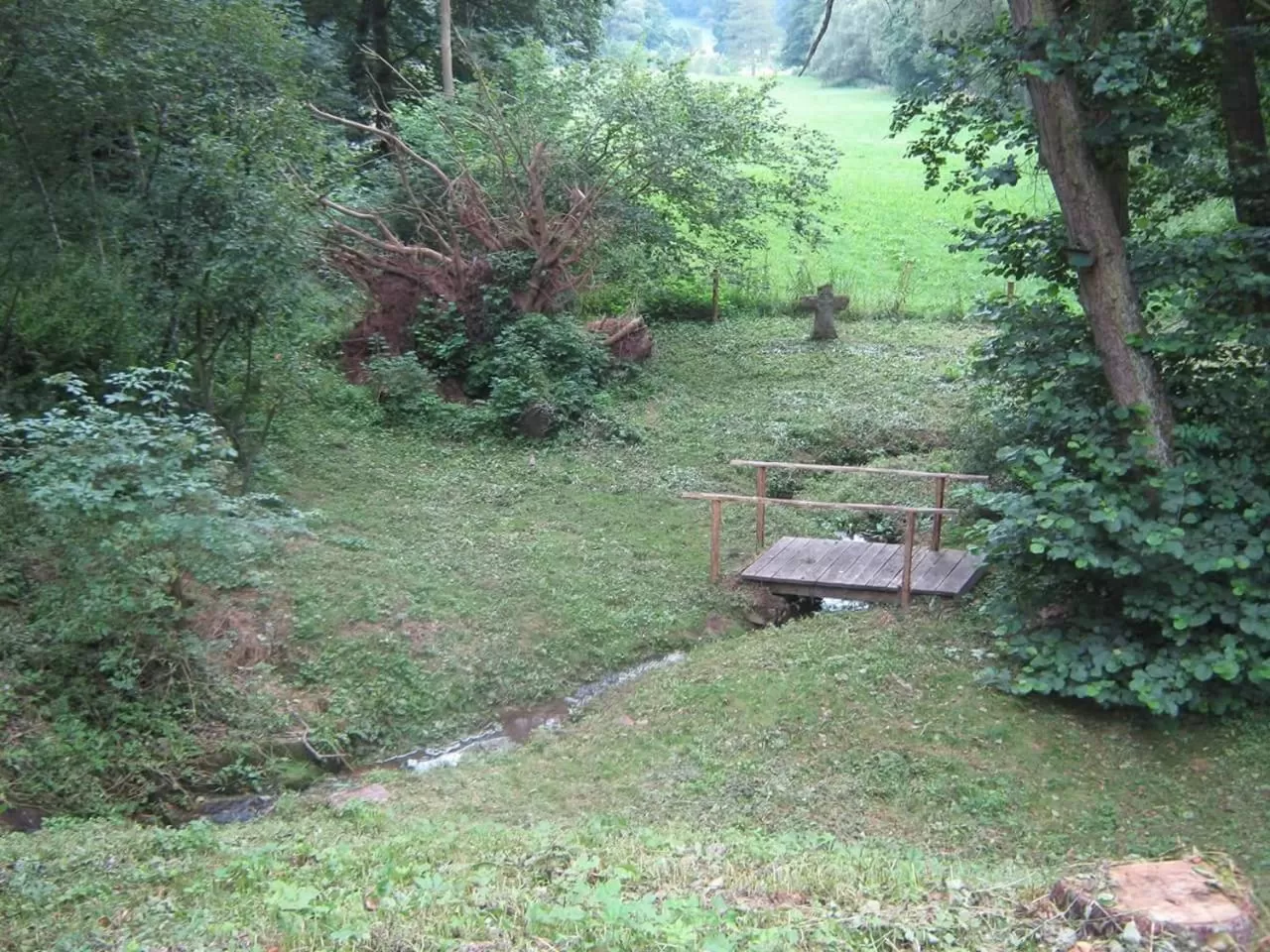 Natural landscape, Garden in Waldecker Taverne
