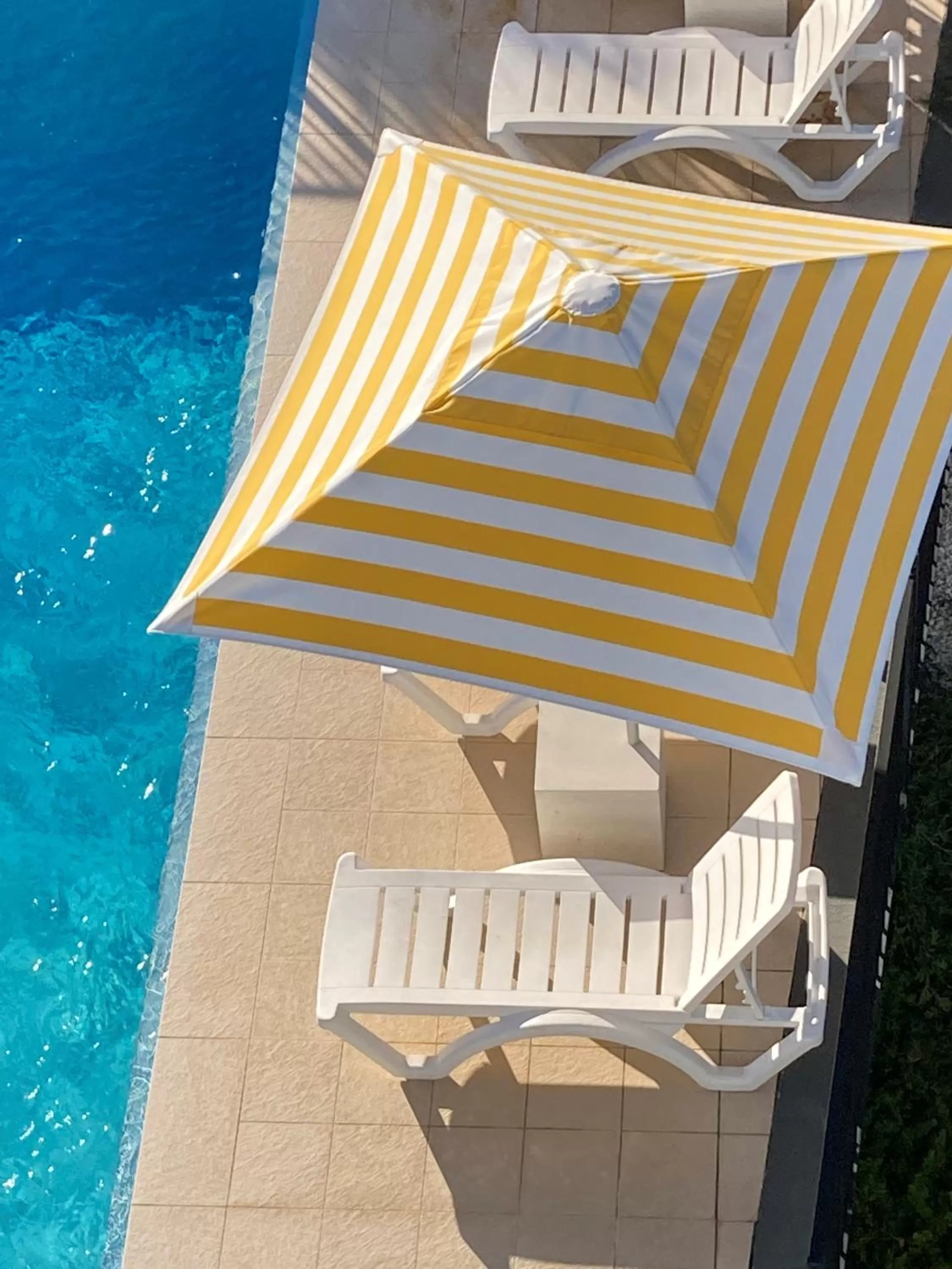 Swimming pool in The Mid Pacific