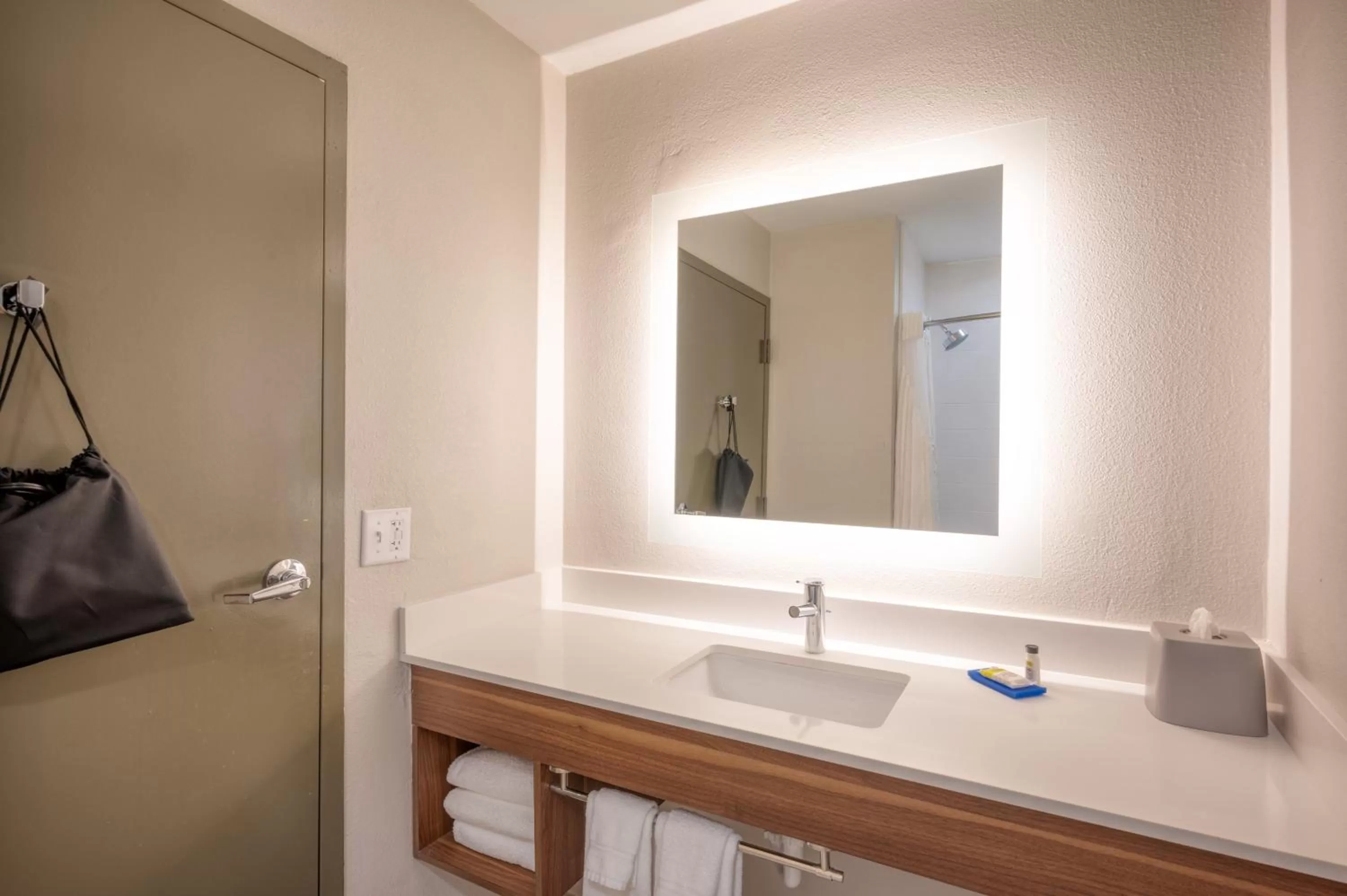Bathroom in Holiday Inn Express Hotel & Suites Greenville by IHG