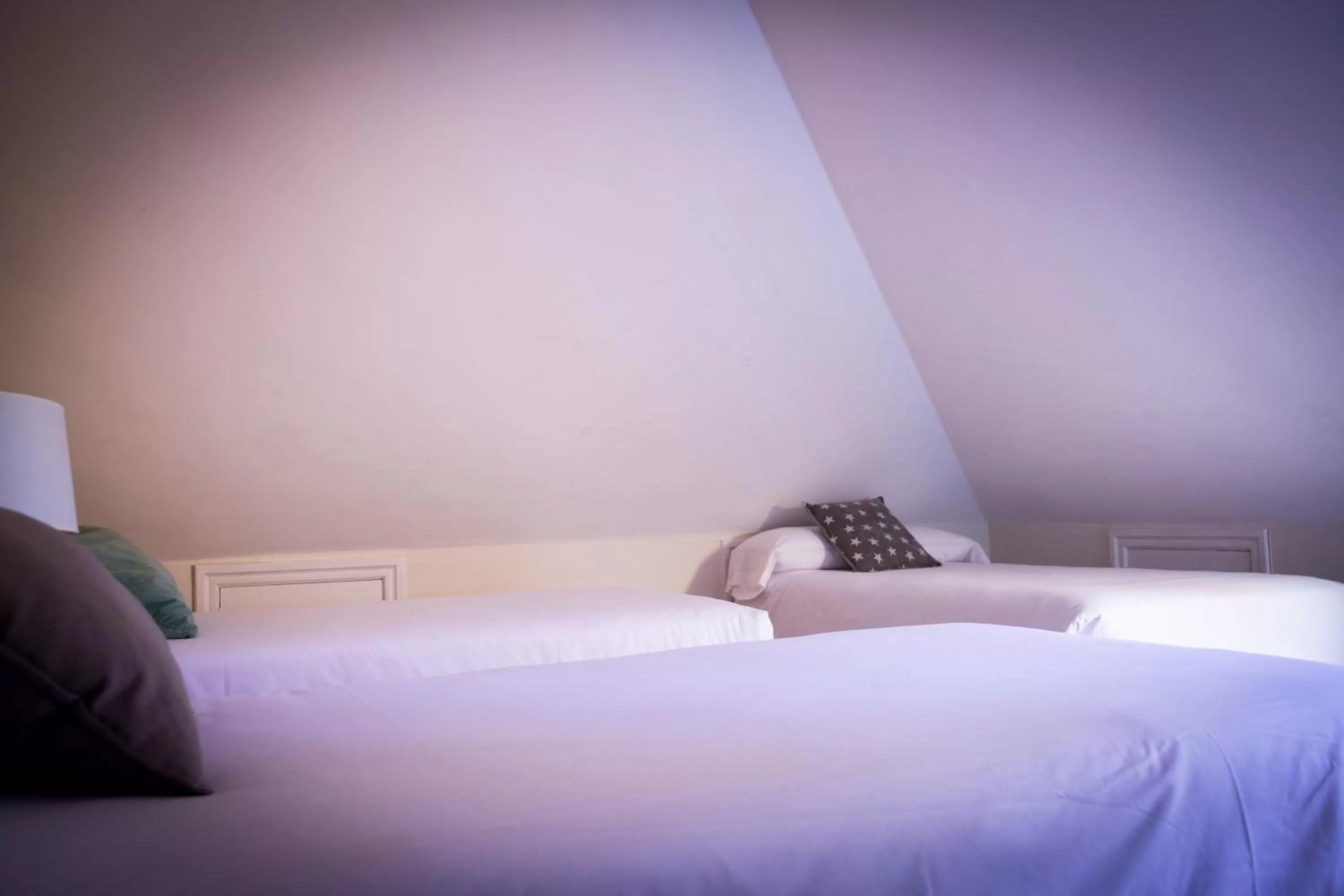 Photo of the whole room, Bed in Hotel O'Pazo