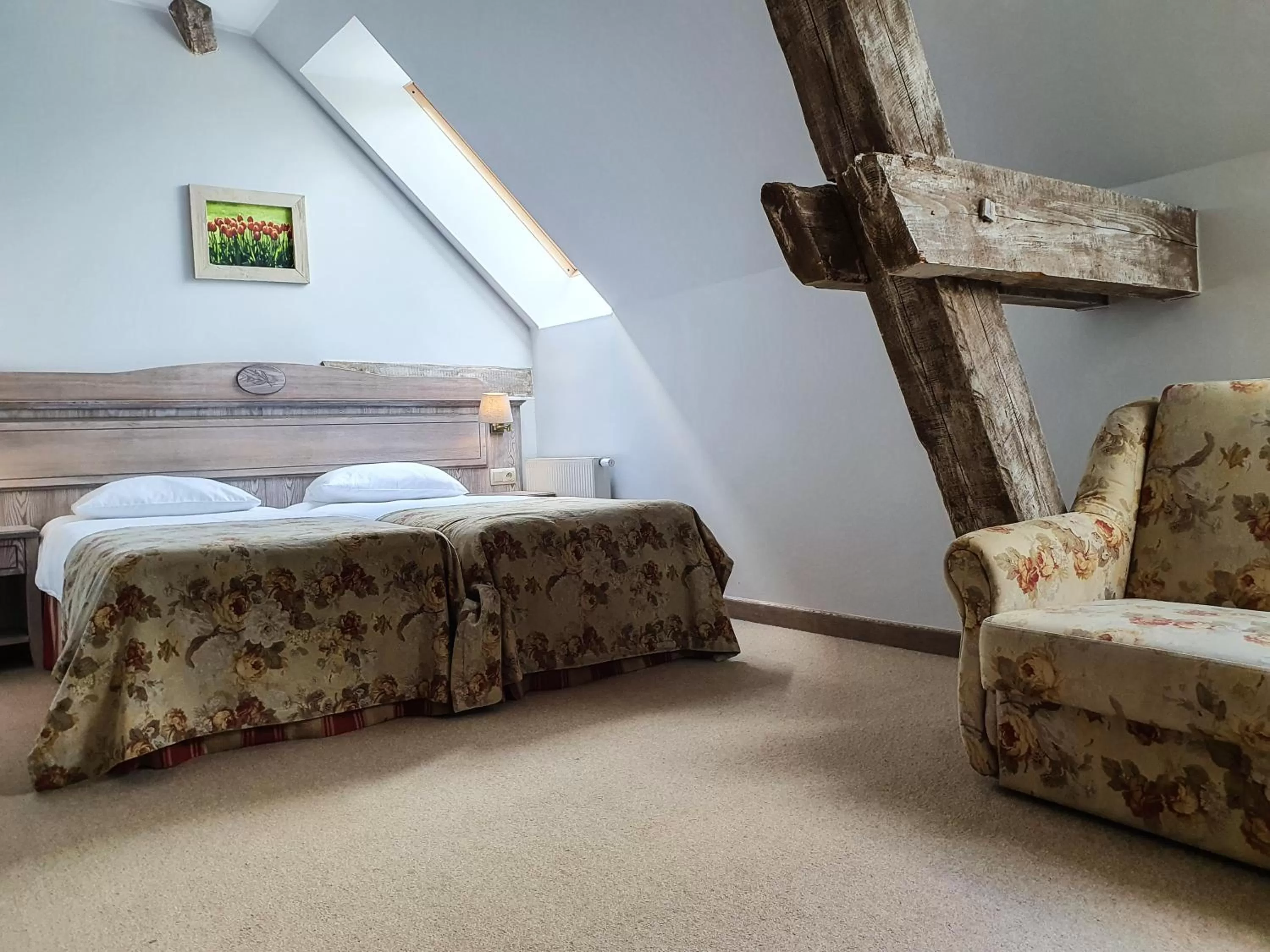 Photo of the whole room, Bed in Olandia