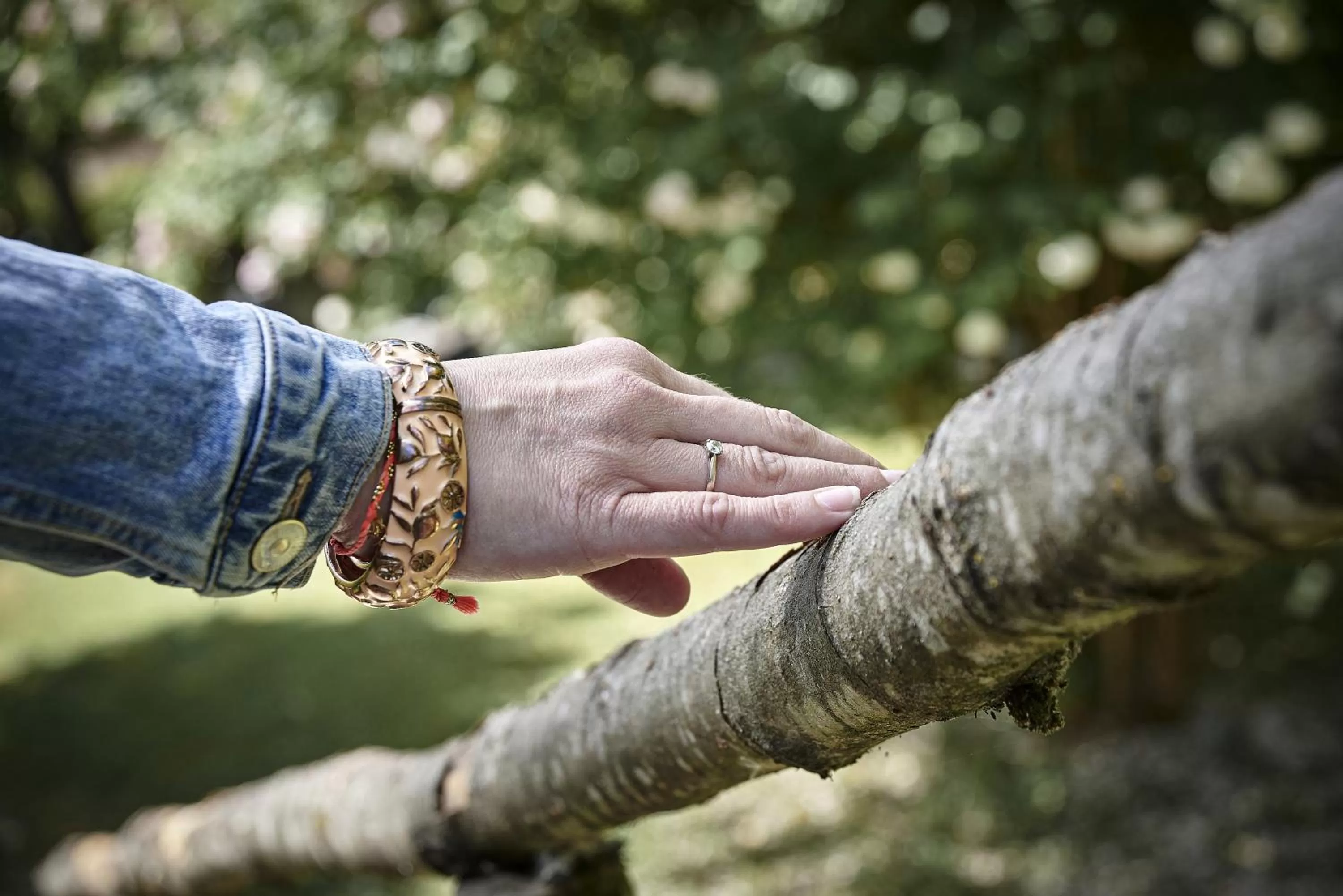 Natural landscape in Logis Bagatelle - 51530 Dizy