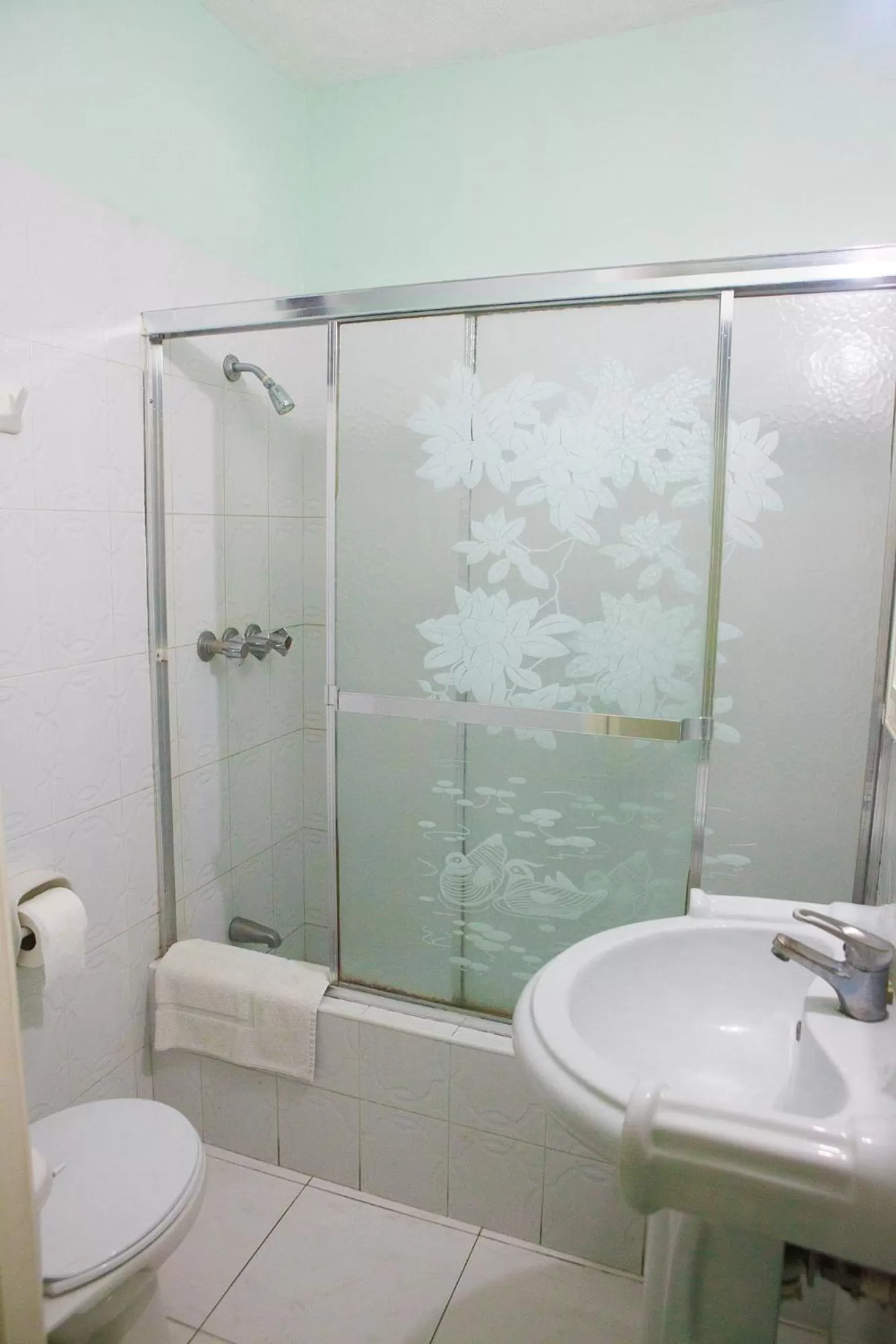 Shower in Caribic House