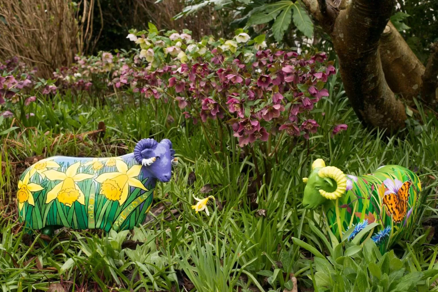 Garden in The Mount B&B