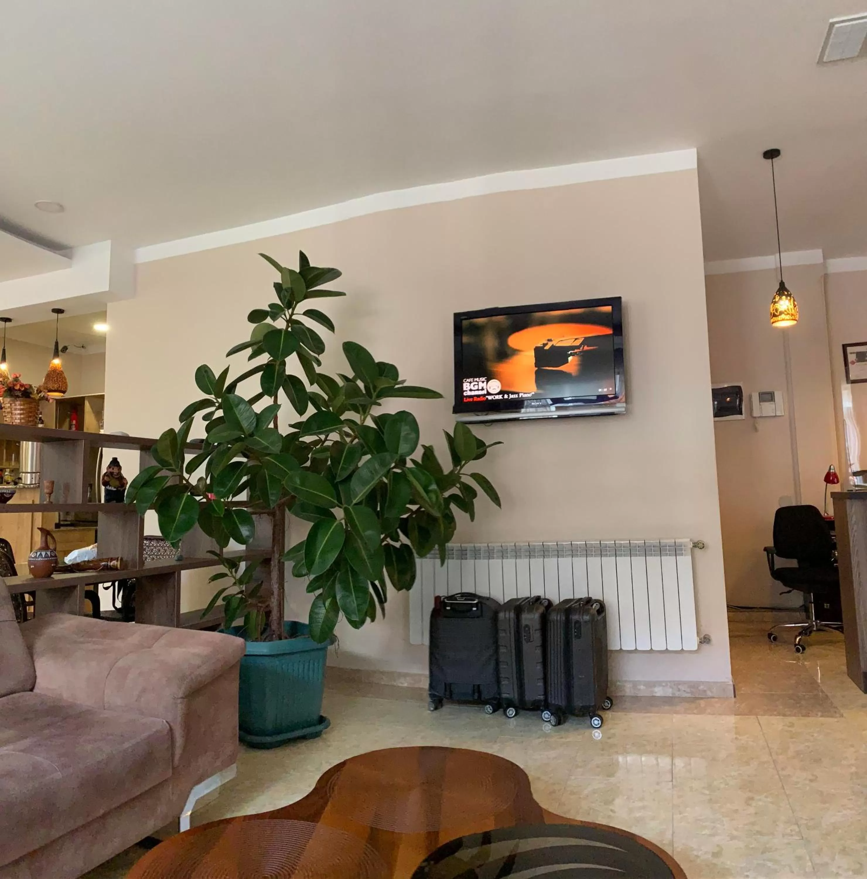 TV/Entertainment Center in Hotel Port Altus