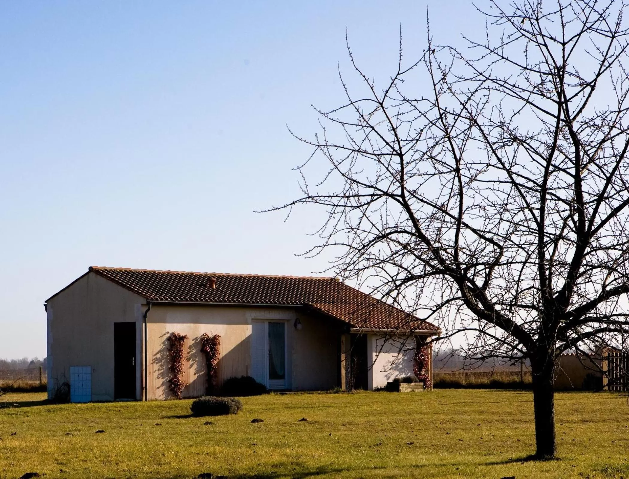 Garden view in La Bribaudonnière
