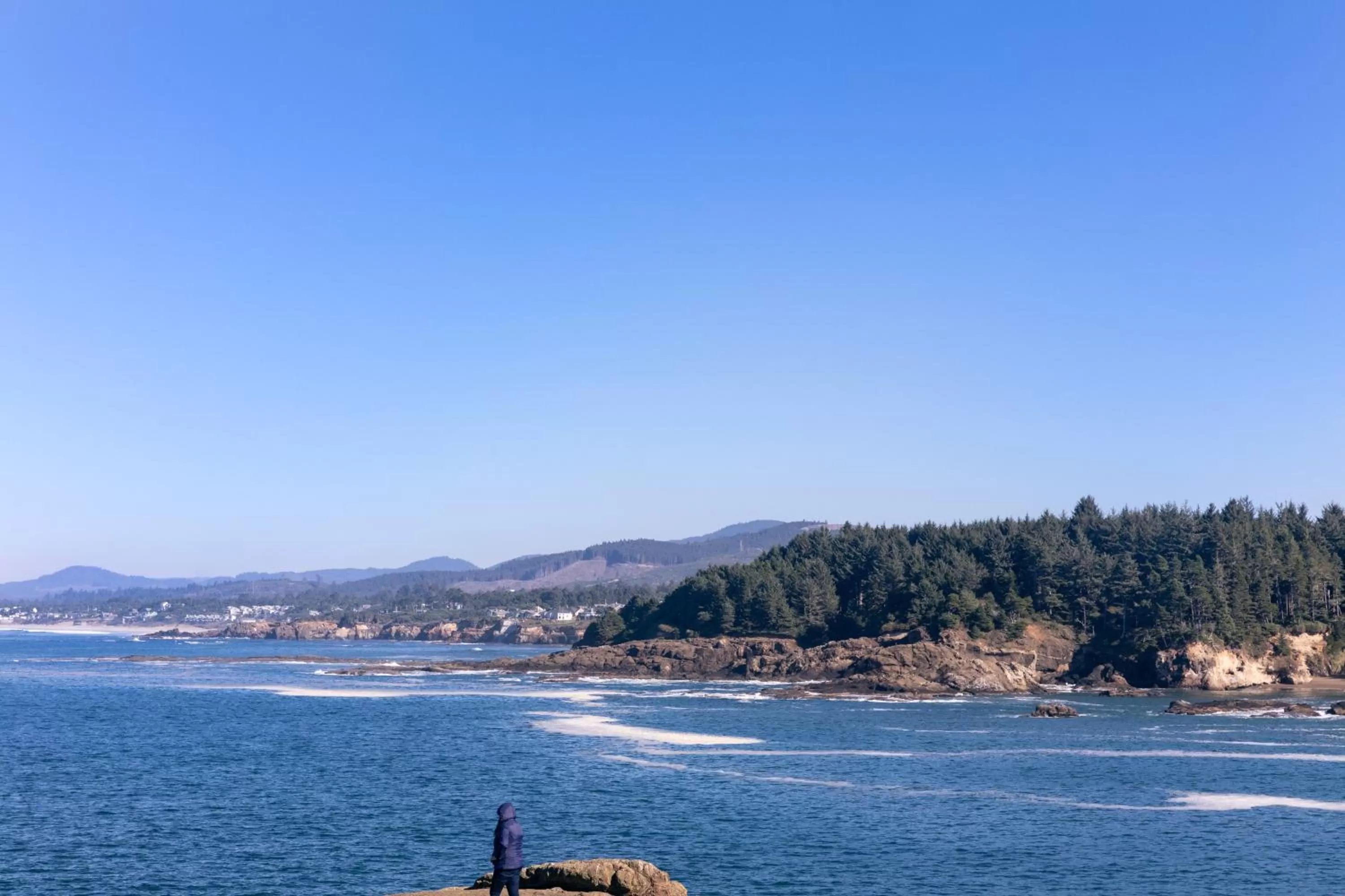 Natural landscape in SCP Depoe Bay