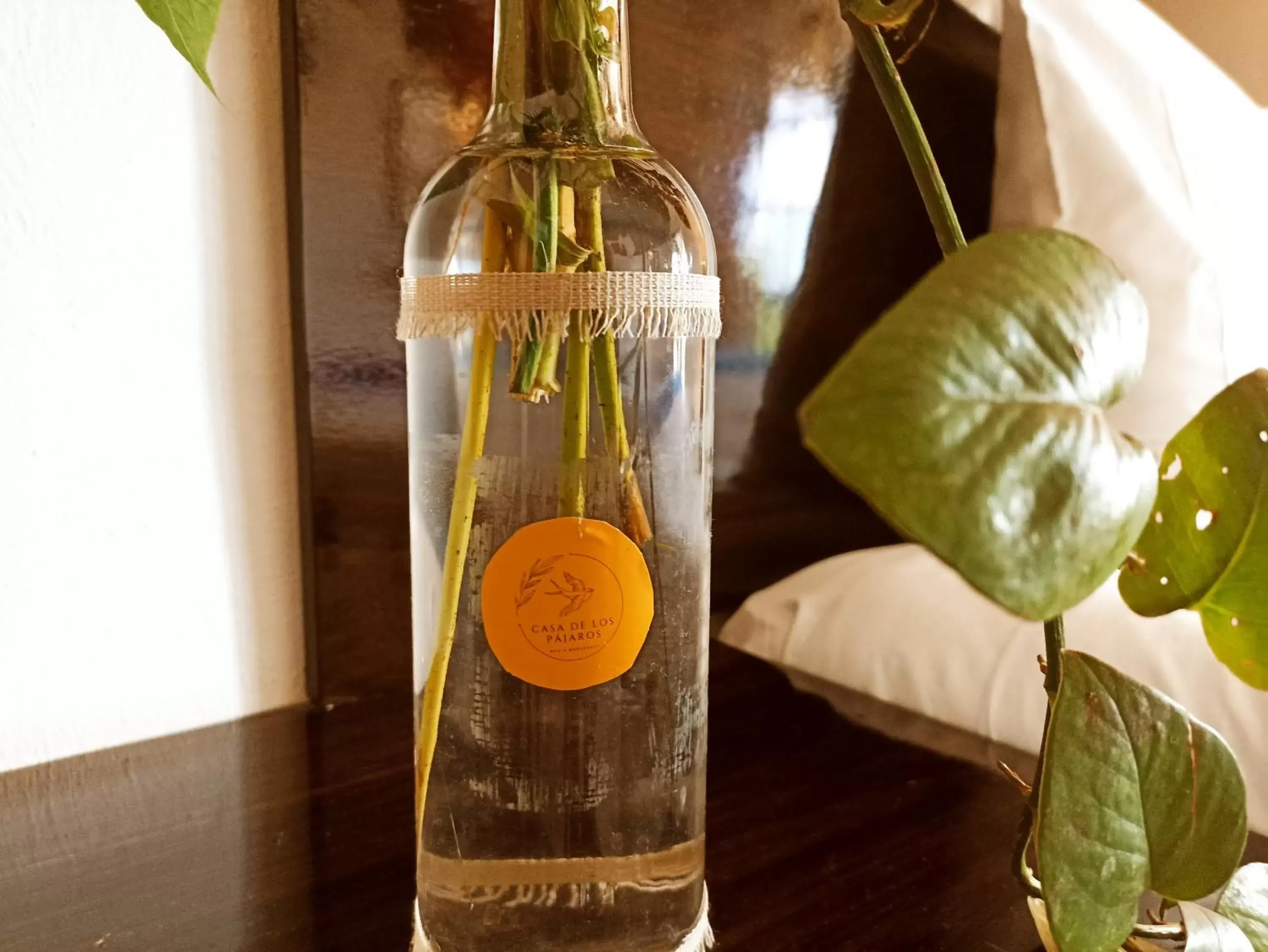 King Room with Balcony in Casa De Los Pájaros - B&B King Room with Balcony in Casa De Los Pájaros - B&B