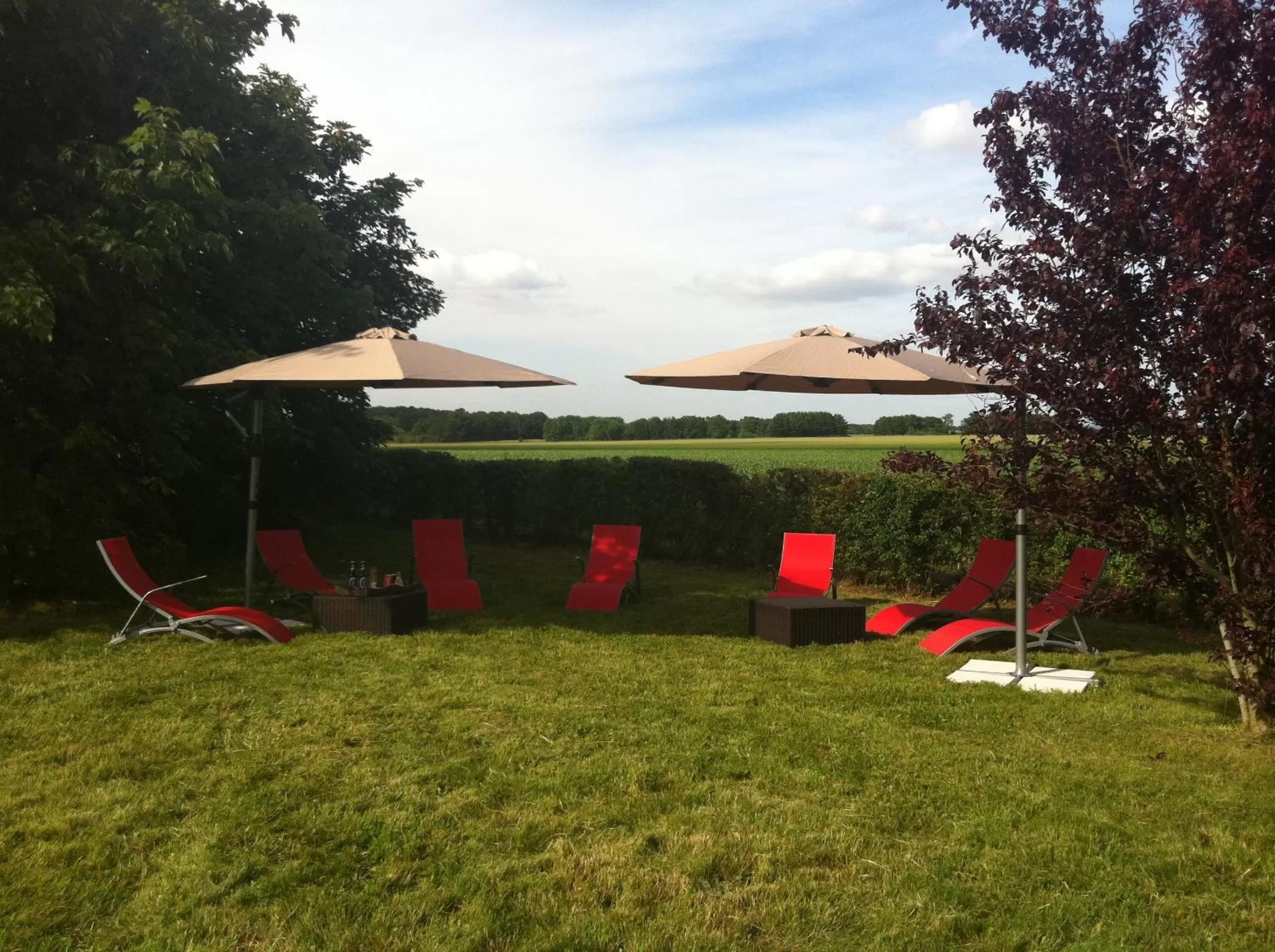 Garden in Logis Hôtel Les Nymphéas