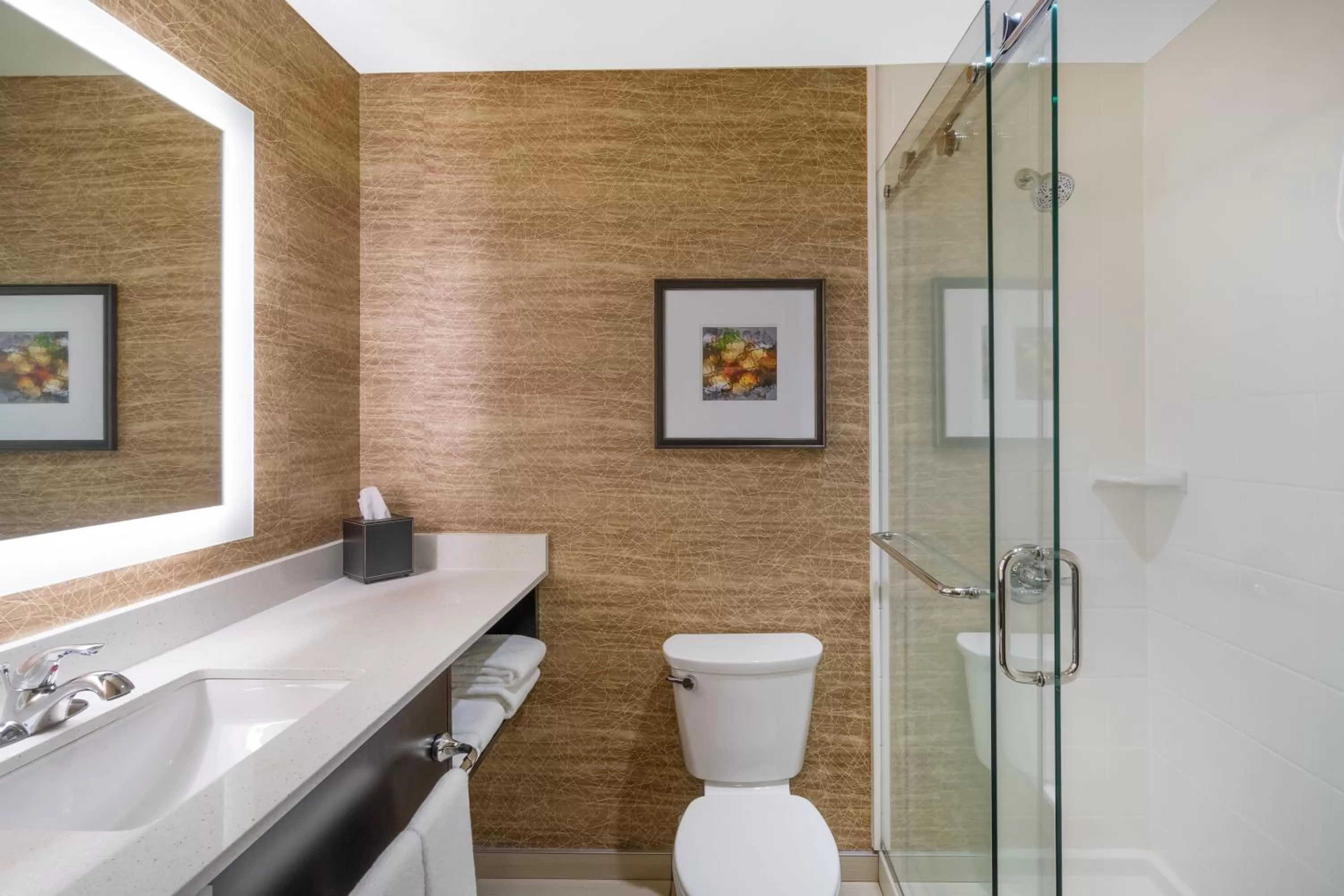 Bathroom in Holiday Inn - Terre Haute by IHG