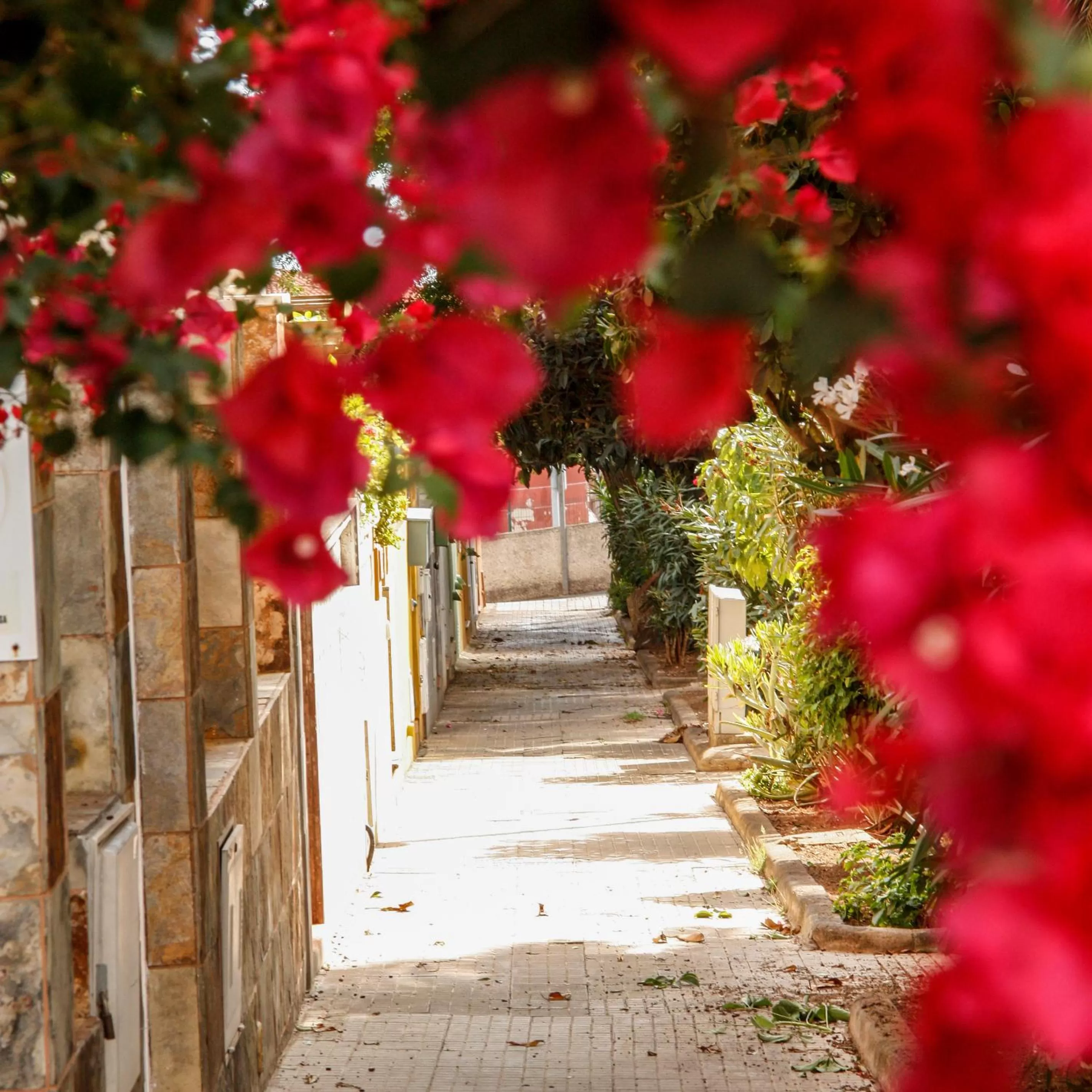 Natural landscape in Il Sogno di Gio della Laguna