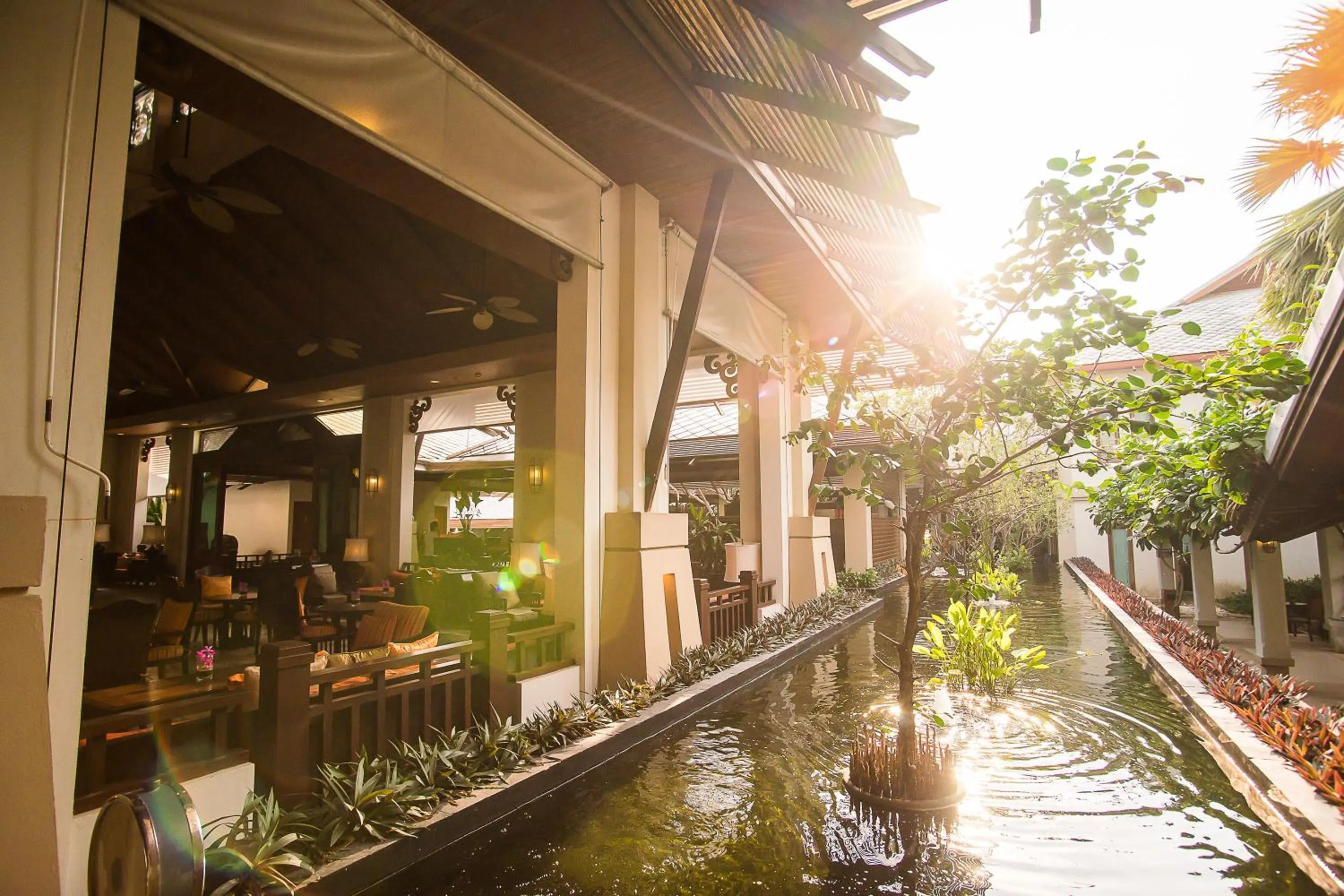 Garden view in Ravindra Beach Resort & Spa - SHA Extra Plus