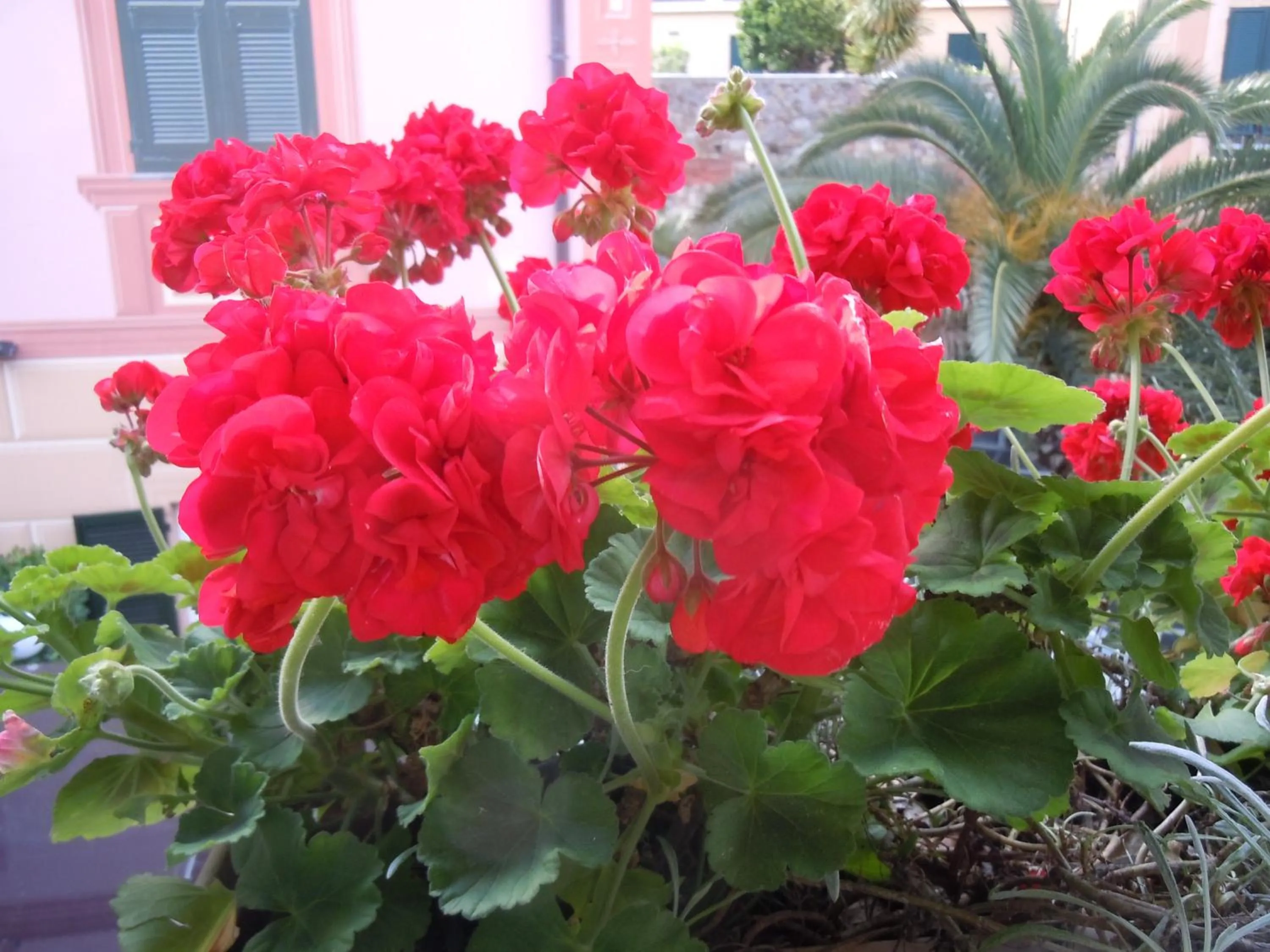 Decorative detail in Hotel Due Mari