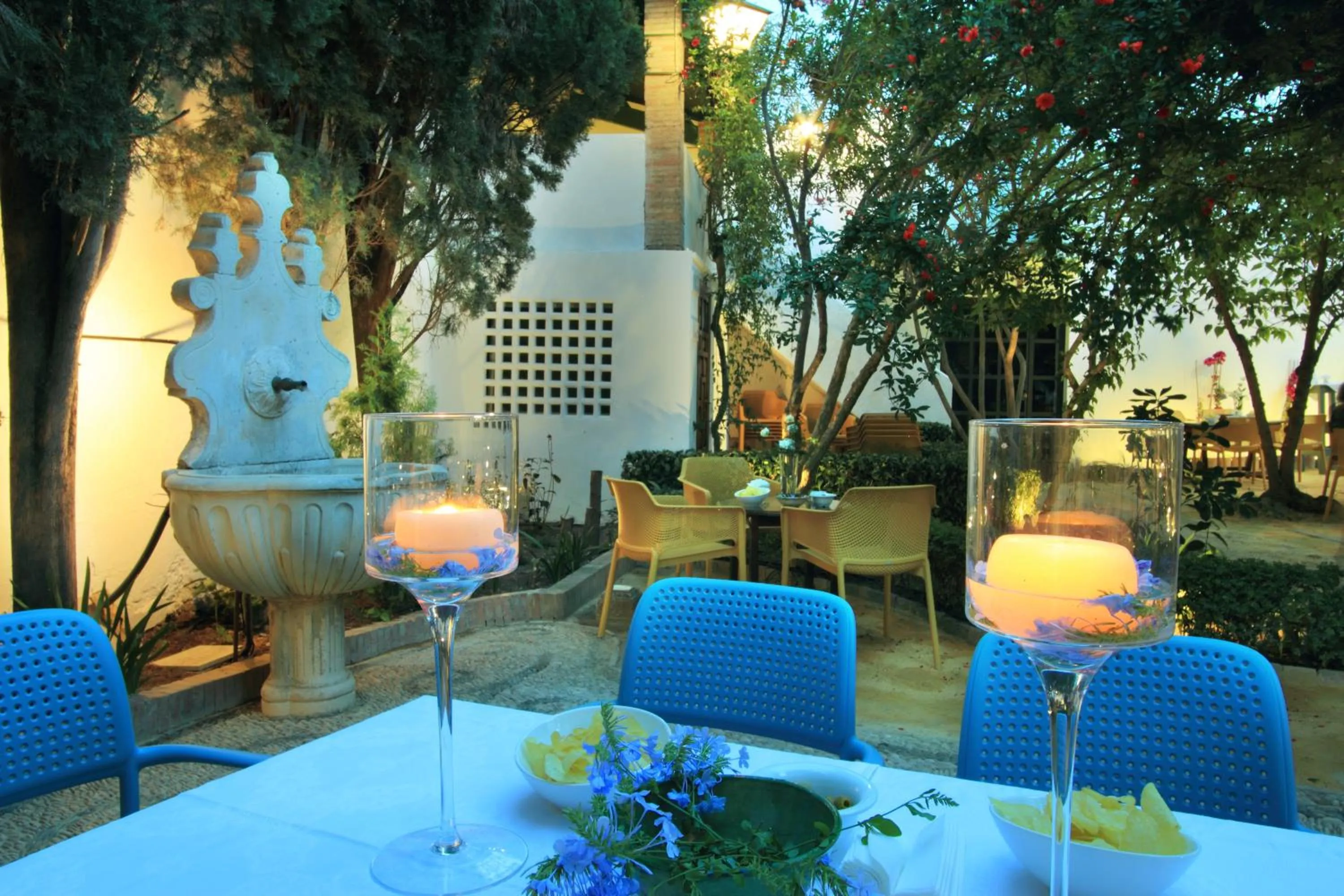 Restaurant/places to eat in Hotel Patria Chica