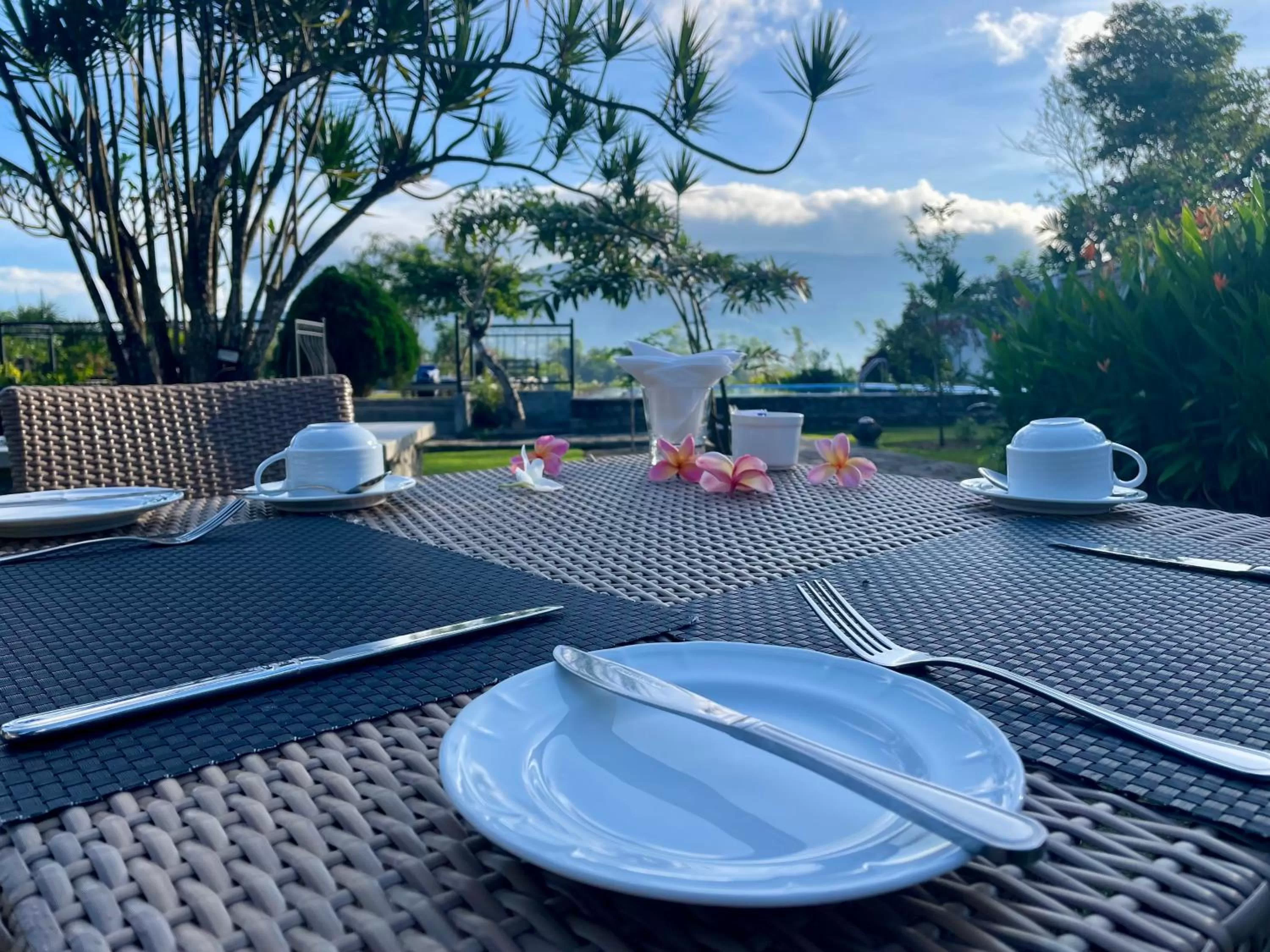 Garden view in Elegant Hotel