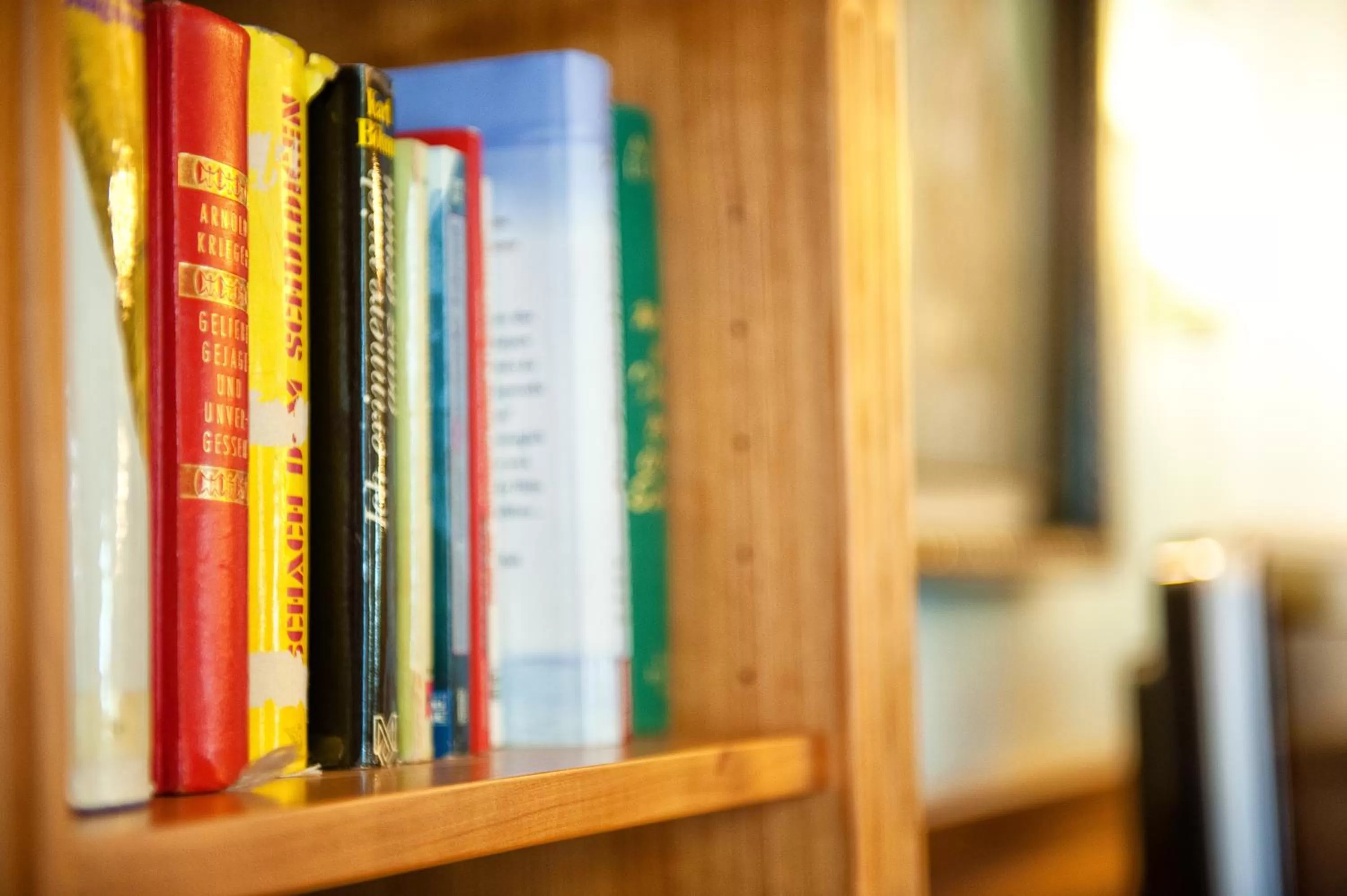 Library in MÜHLBACHER - inklusive kostenfreiem Eintritt in die Alpentherme