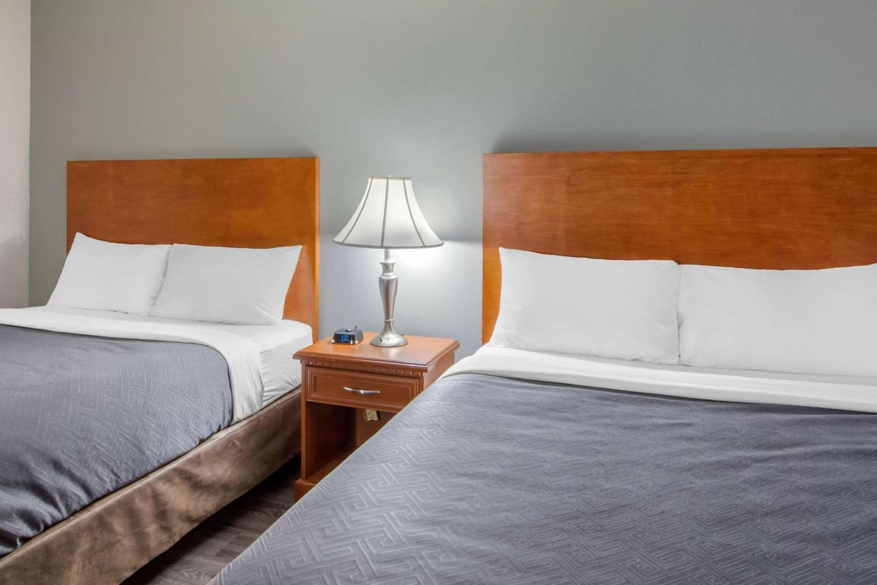 Photo of the whole room, Bed in Econo Lodge