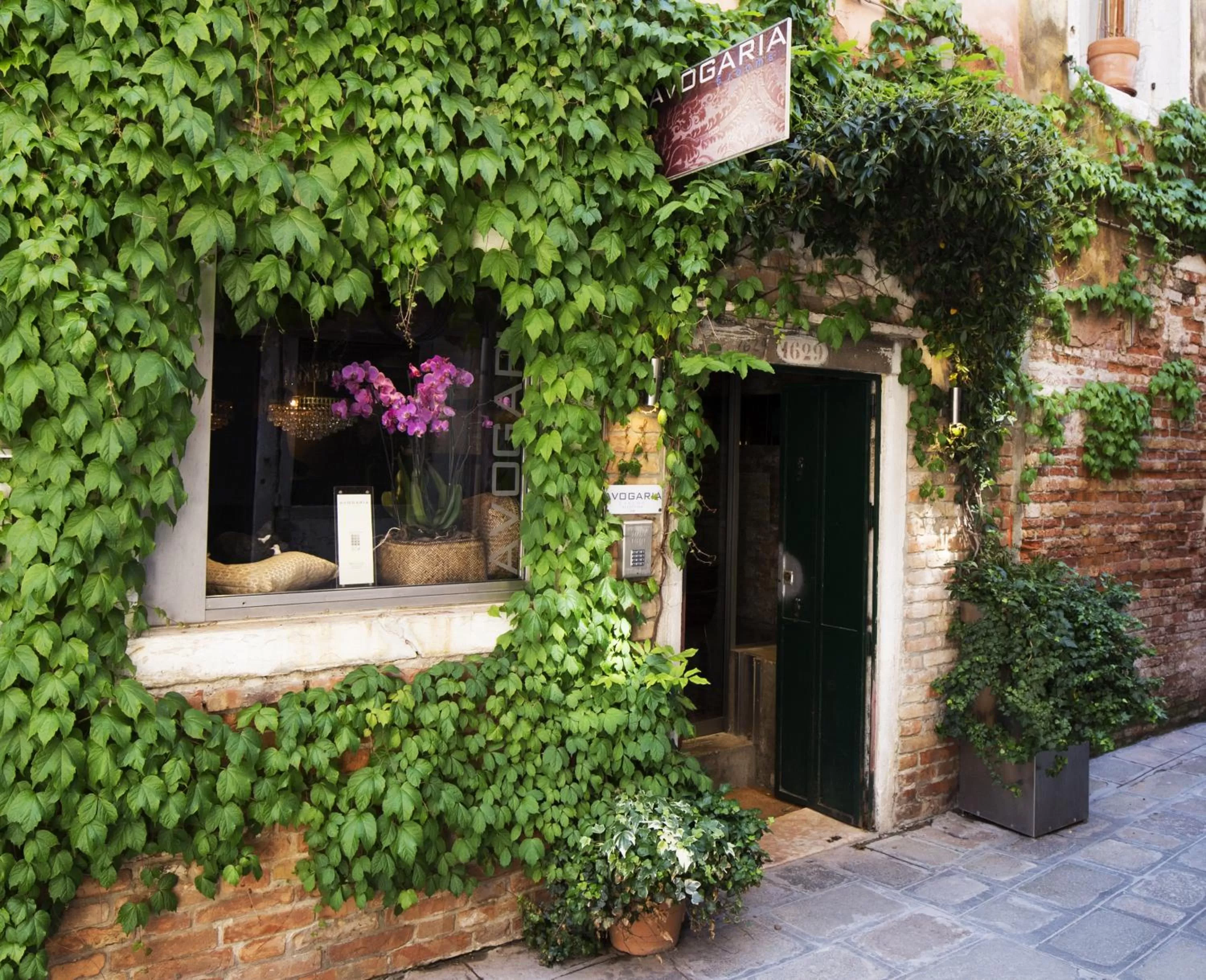 Facade/entrance in Avogaria 5 Rooms