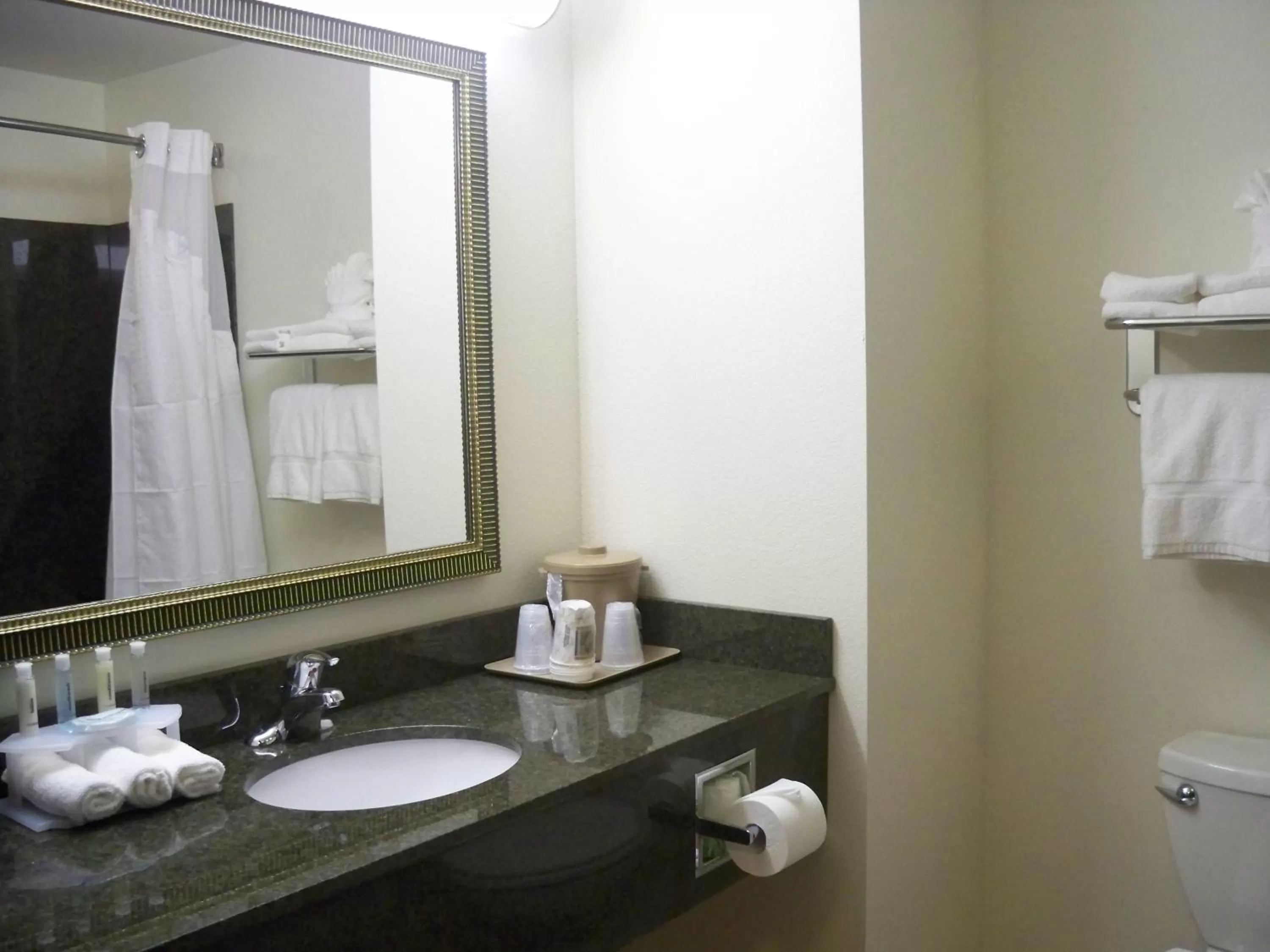 Bathroom in Holiday Inn Express & Suites - Omaha I - 80 by IHG