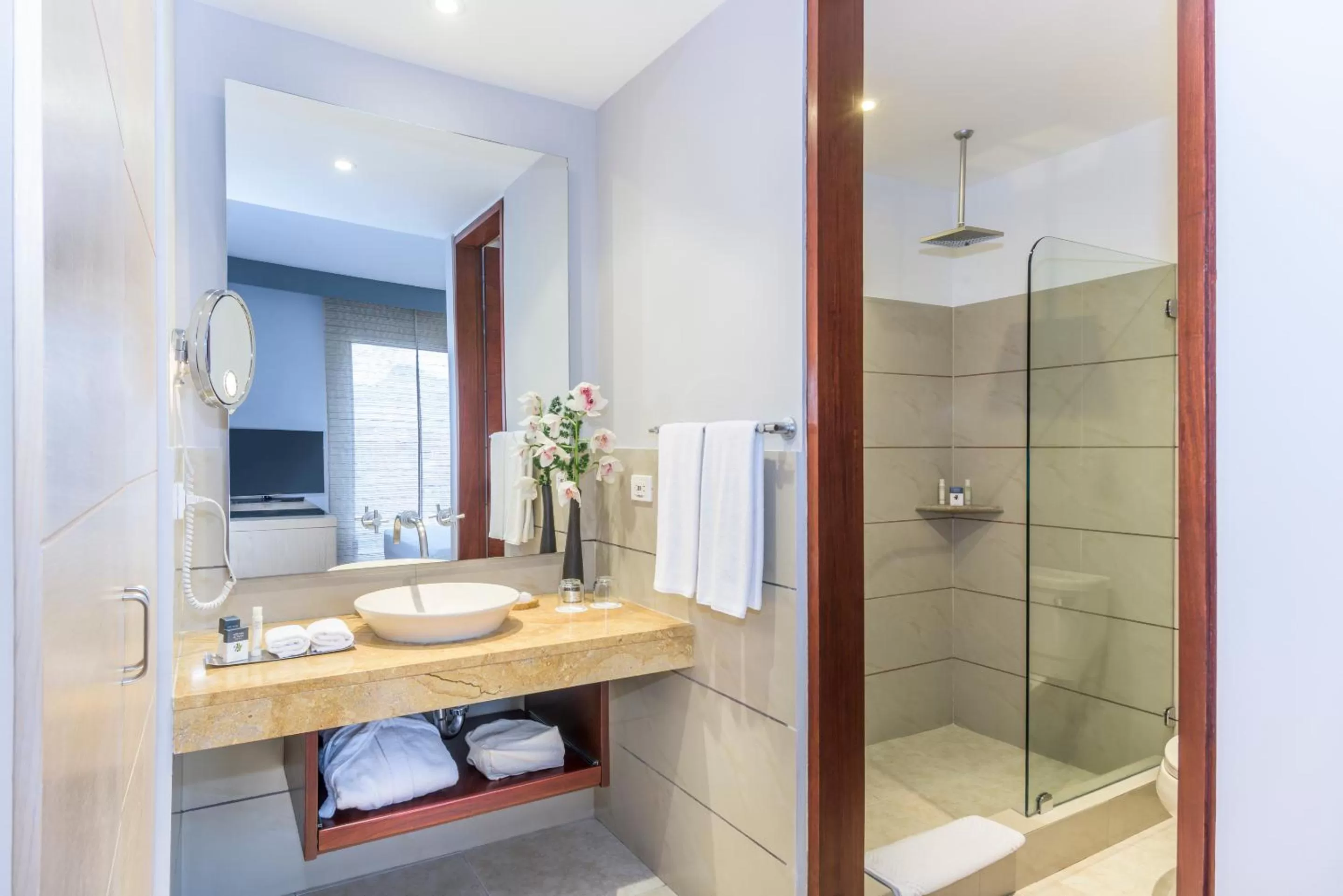 Bathroom in Cosmos 100 Executive