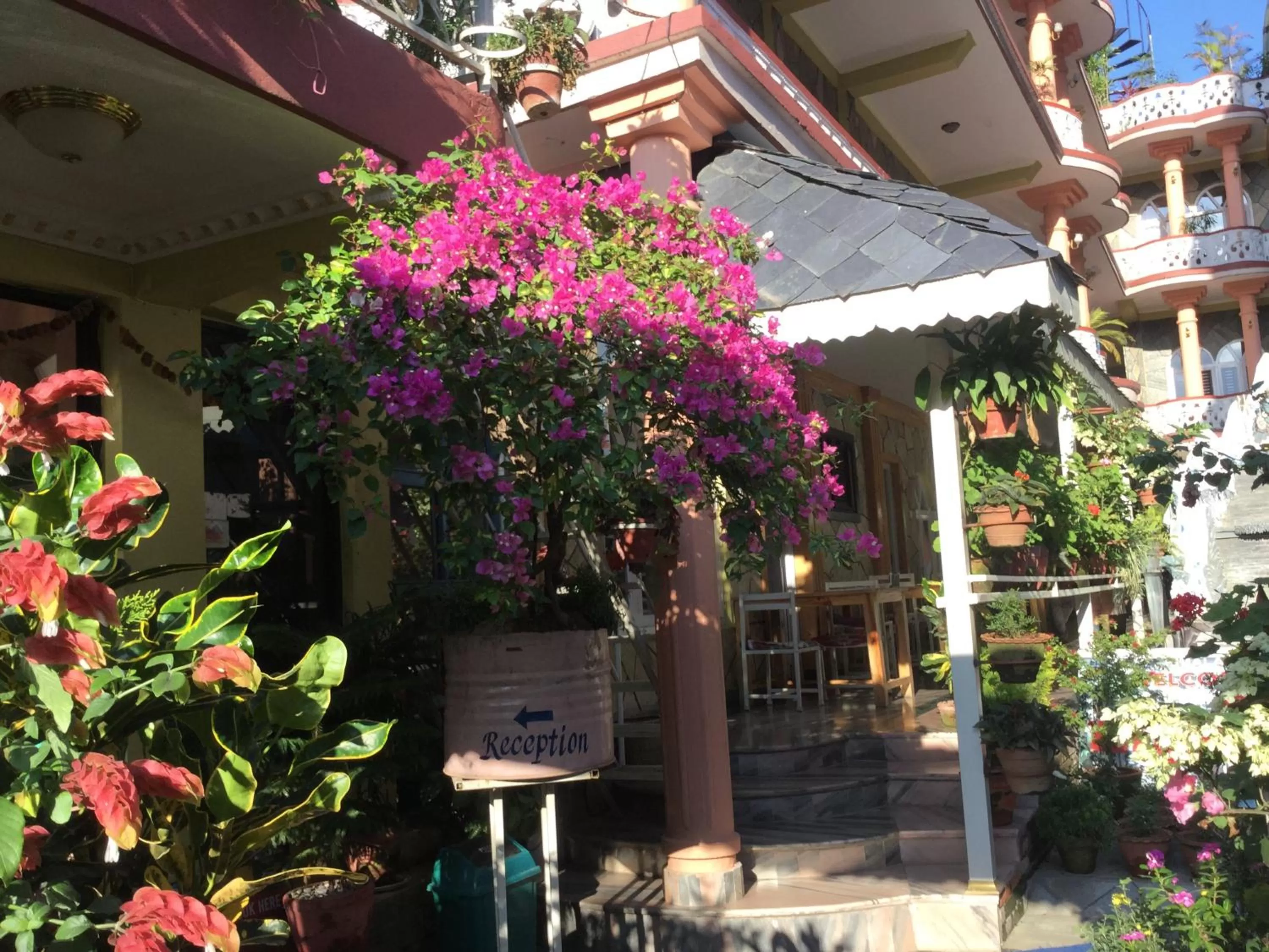 Facade/entrance in Hotel Himalayan Inn