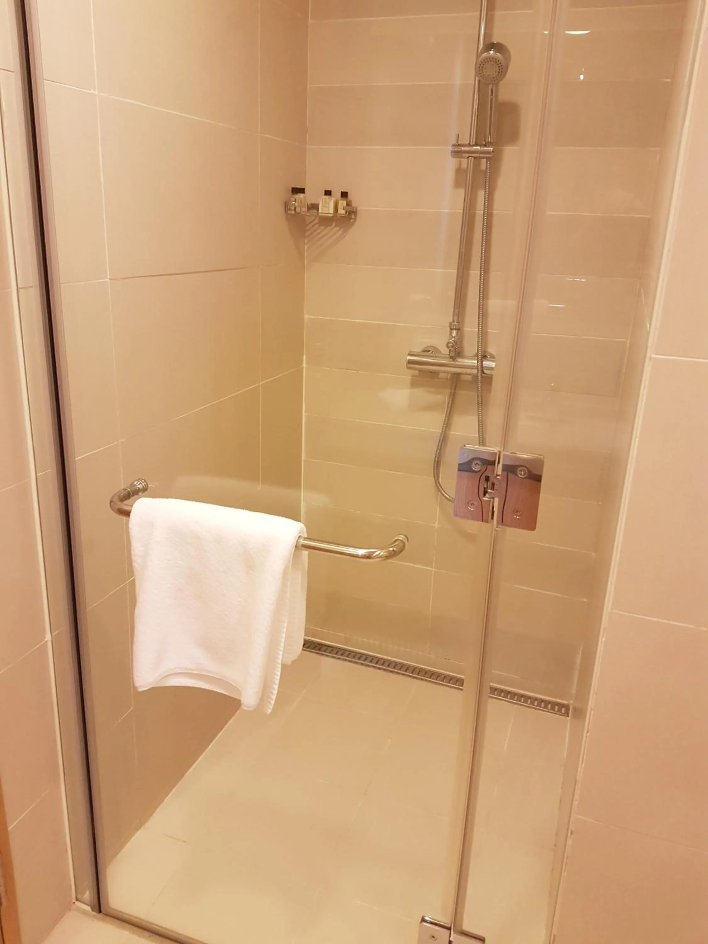 Shower in Lotte The Residence