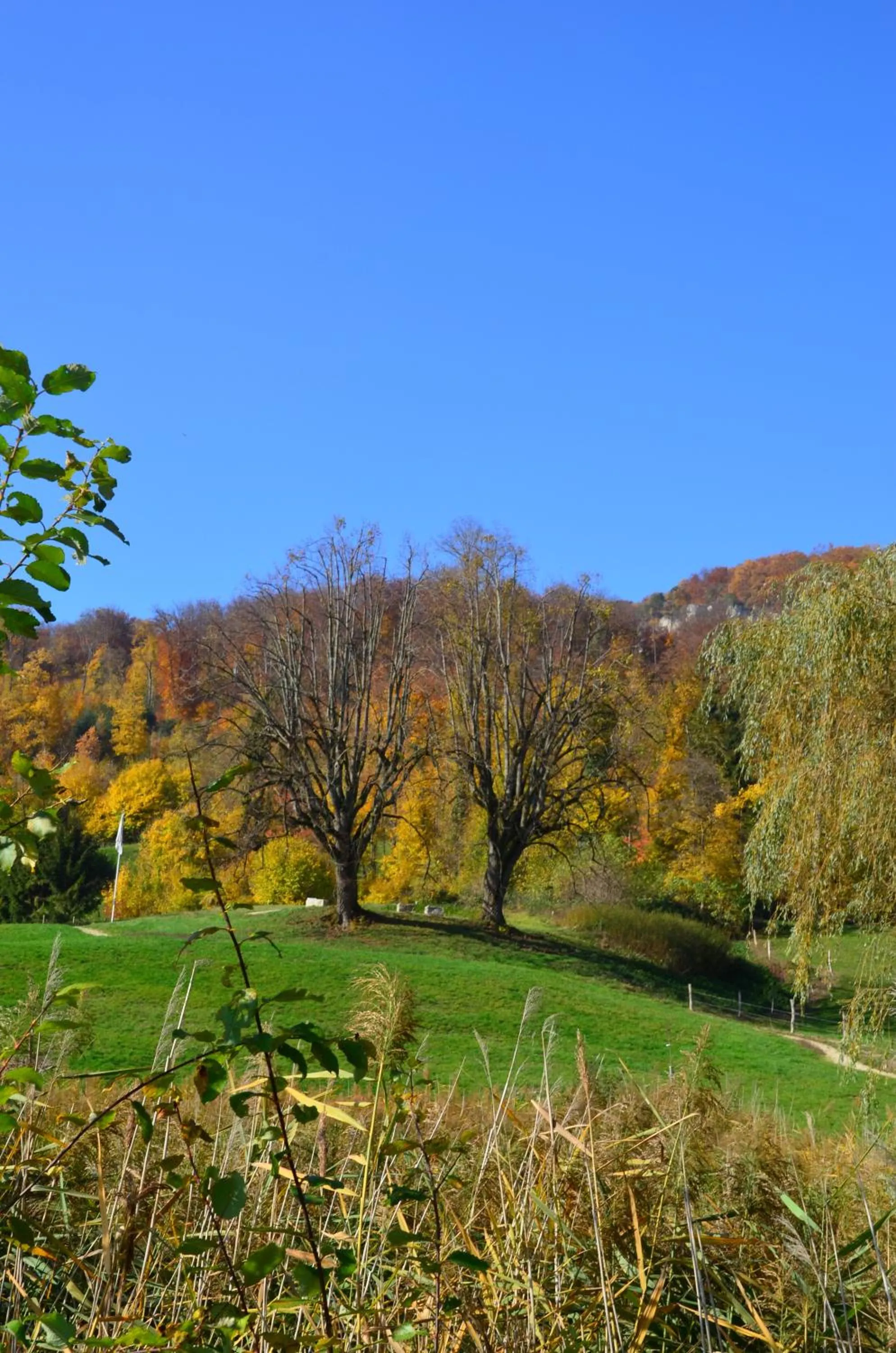 Day in Bad Schauenburg