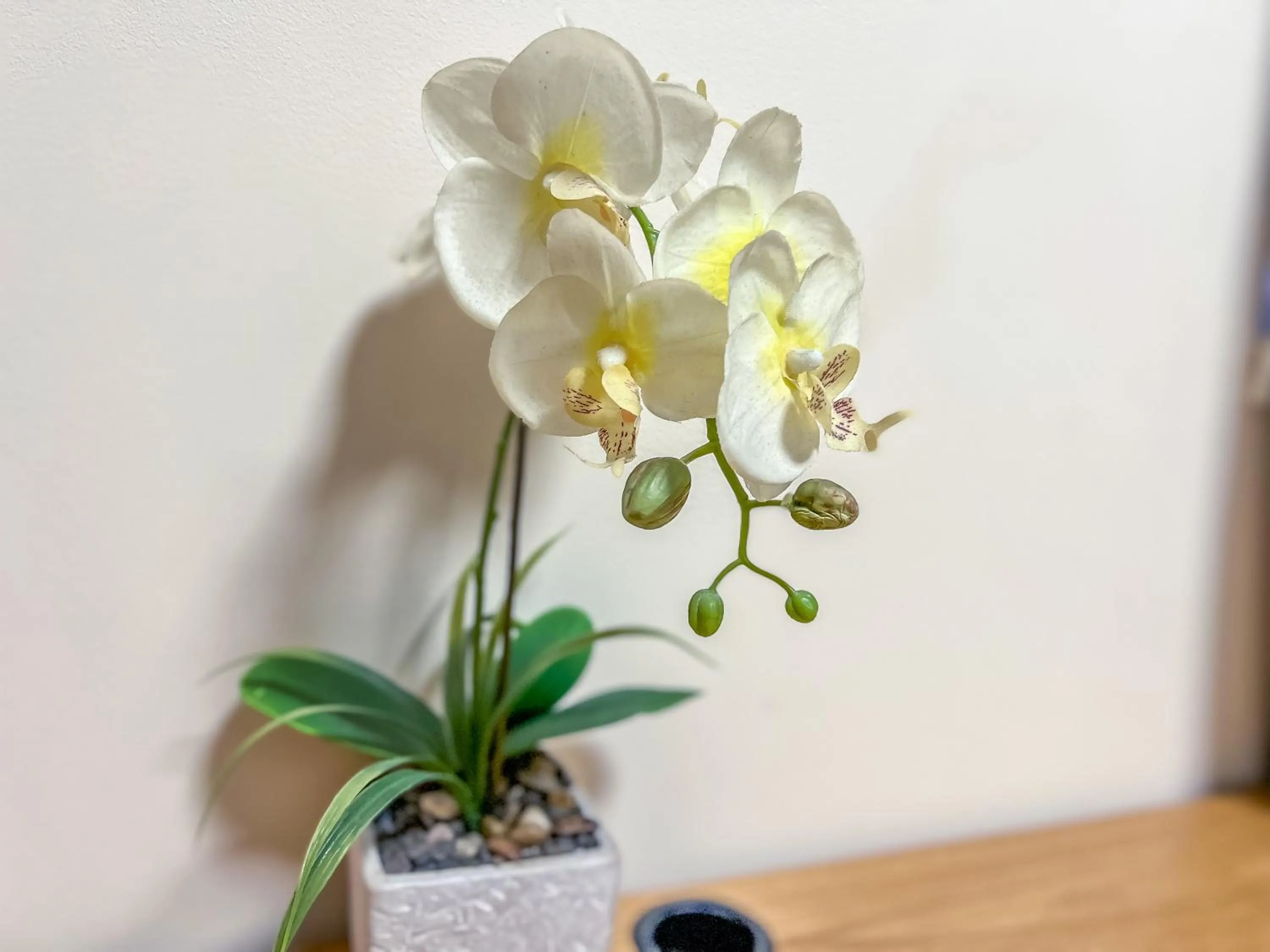 Decorative detail in County Hall Apartment Hotel