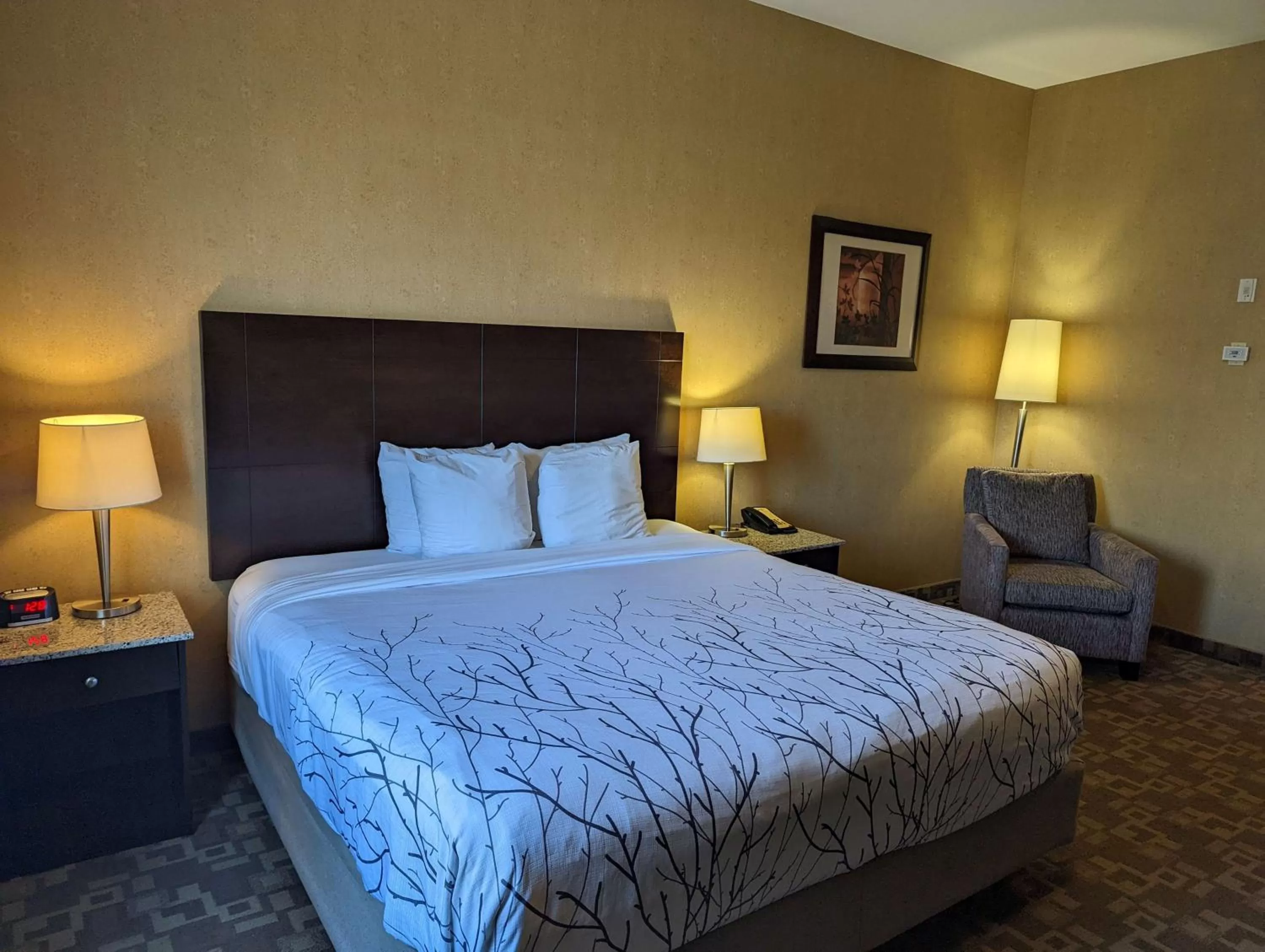 Executive King Suite - Non-Smoking in Best Western Plus South Edmonton Inn & Suites