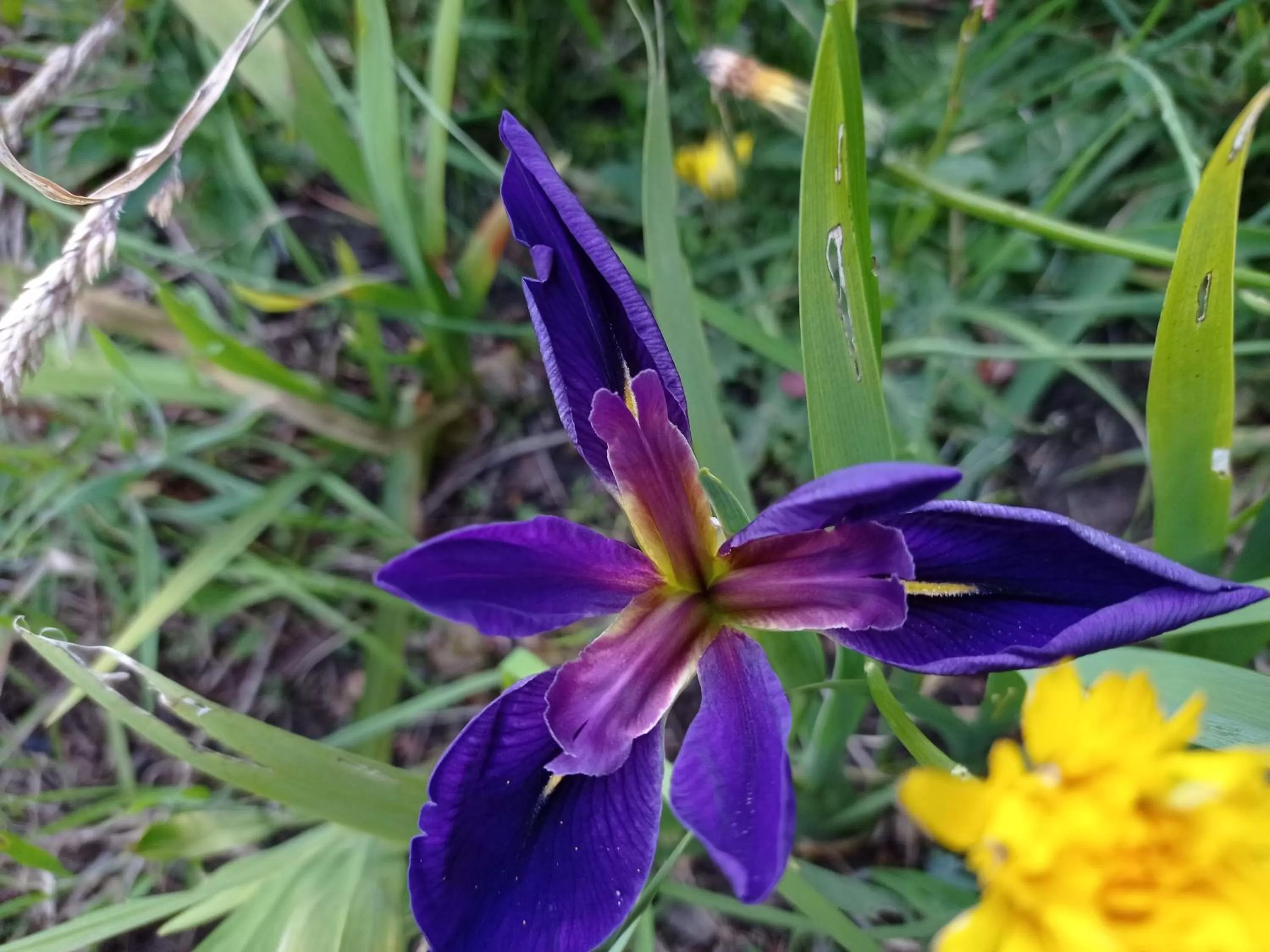 Hotel Refugio Pozo Azul