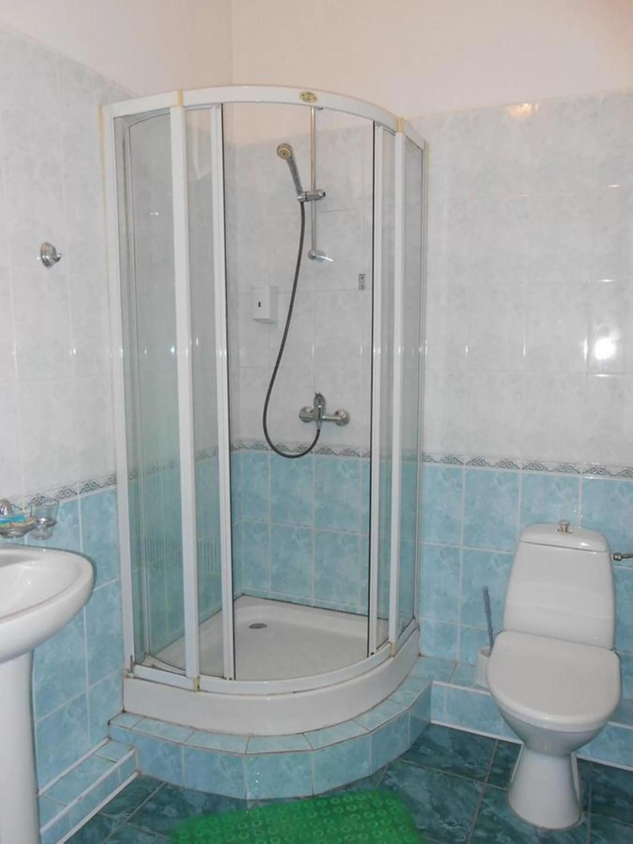 Shower, Bathroom in Zhibek Zholy Hotel