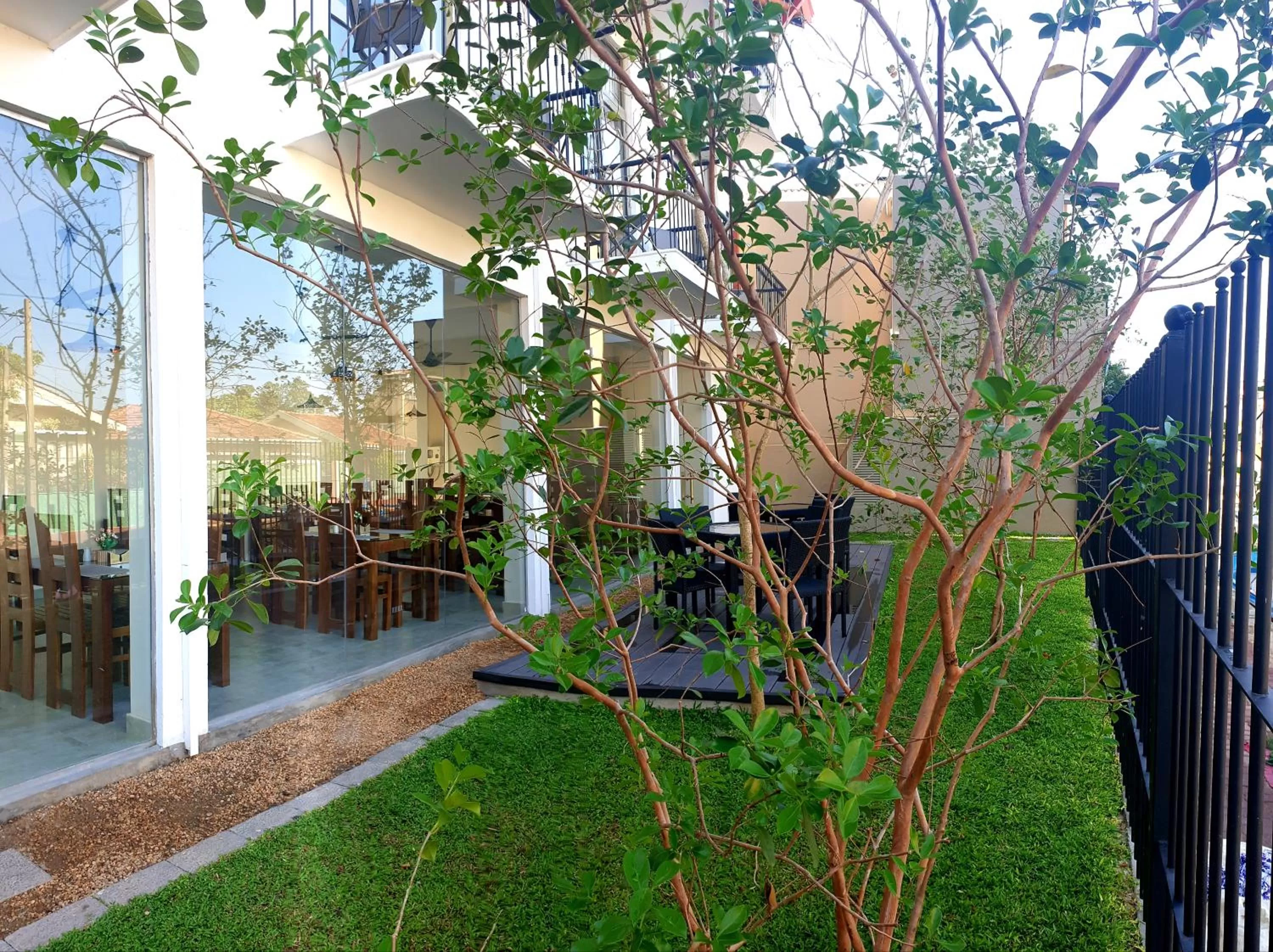 Garden in Hive 68 Hotel and Resorts - Negombo