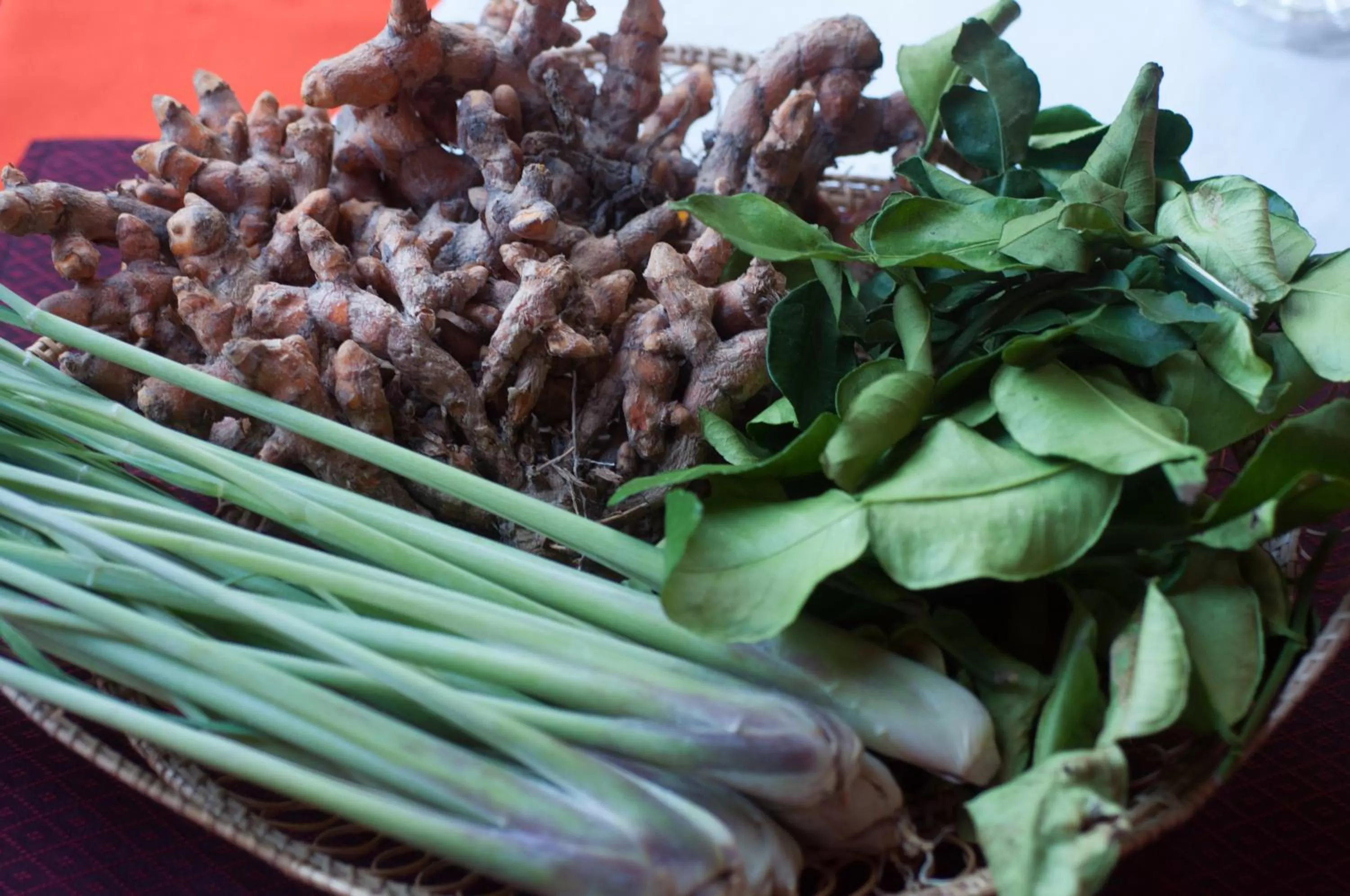 Decorative detail in Golden Butterfly Villa