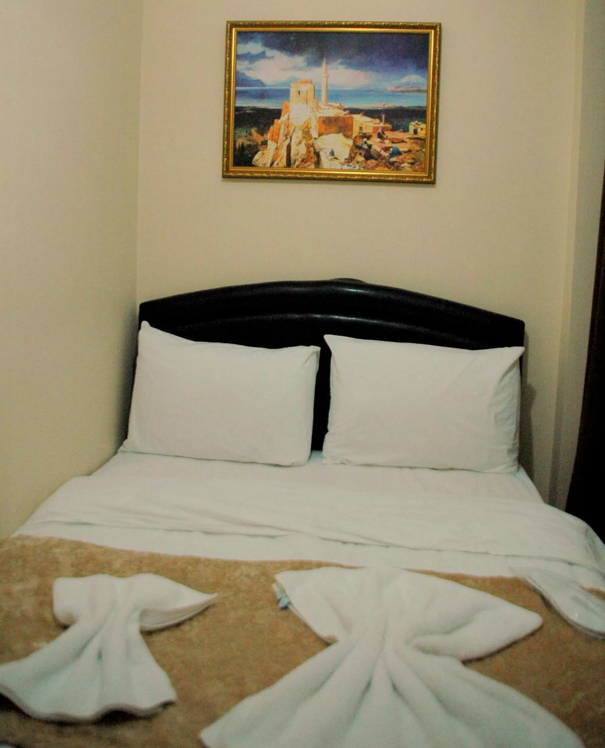 Photo of the whole room, Bed in Tolga Hotel