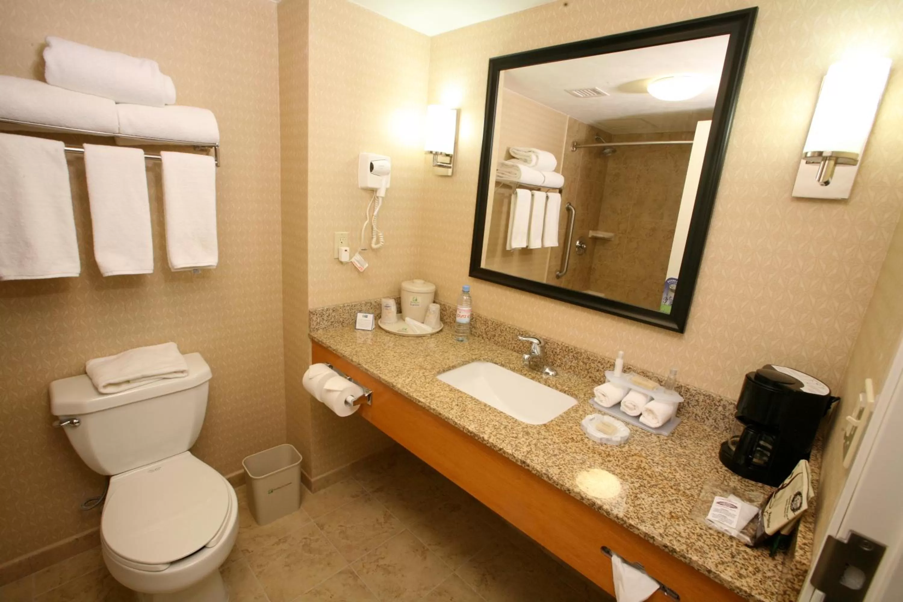Bathroom in Holiday Inn Express Saltillo Zona Aeropuerto by IHG
