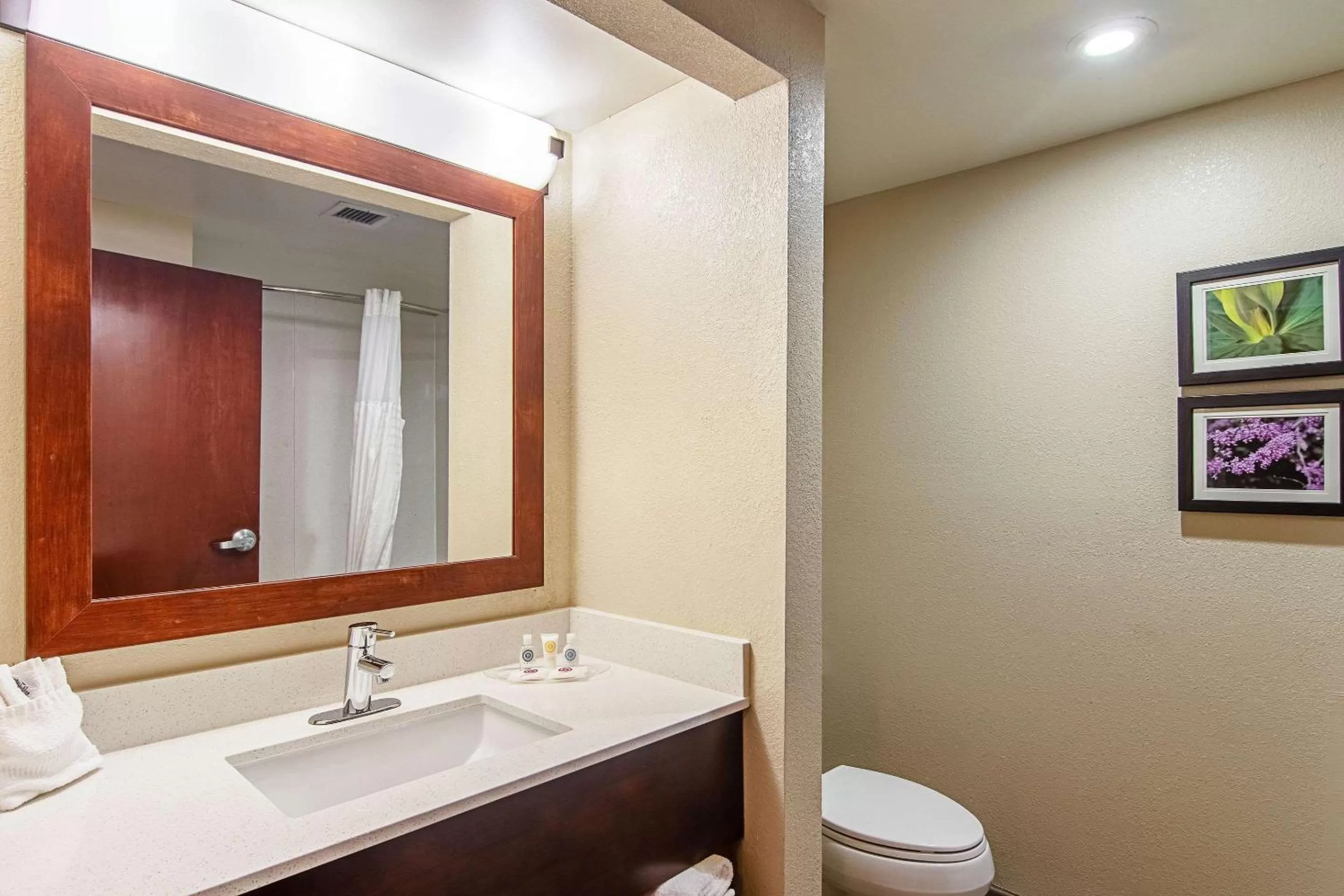 Bathroom in Comfort Suites Knoxville Airport