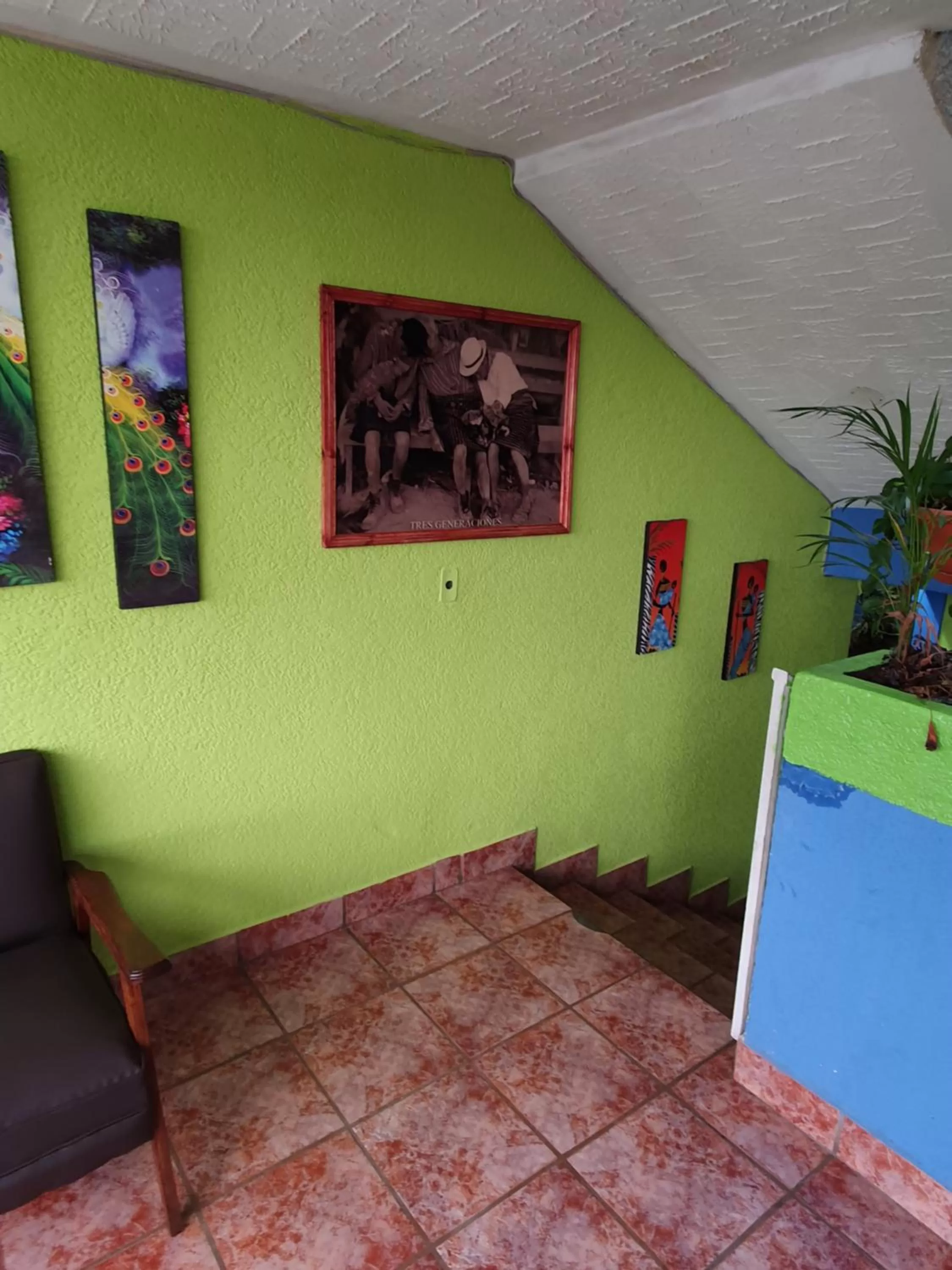 hotel kasa kamelot 2