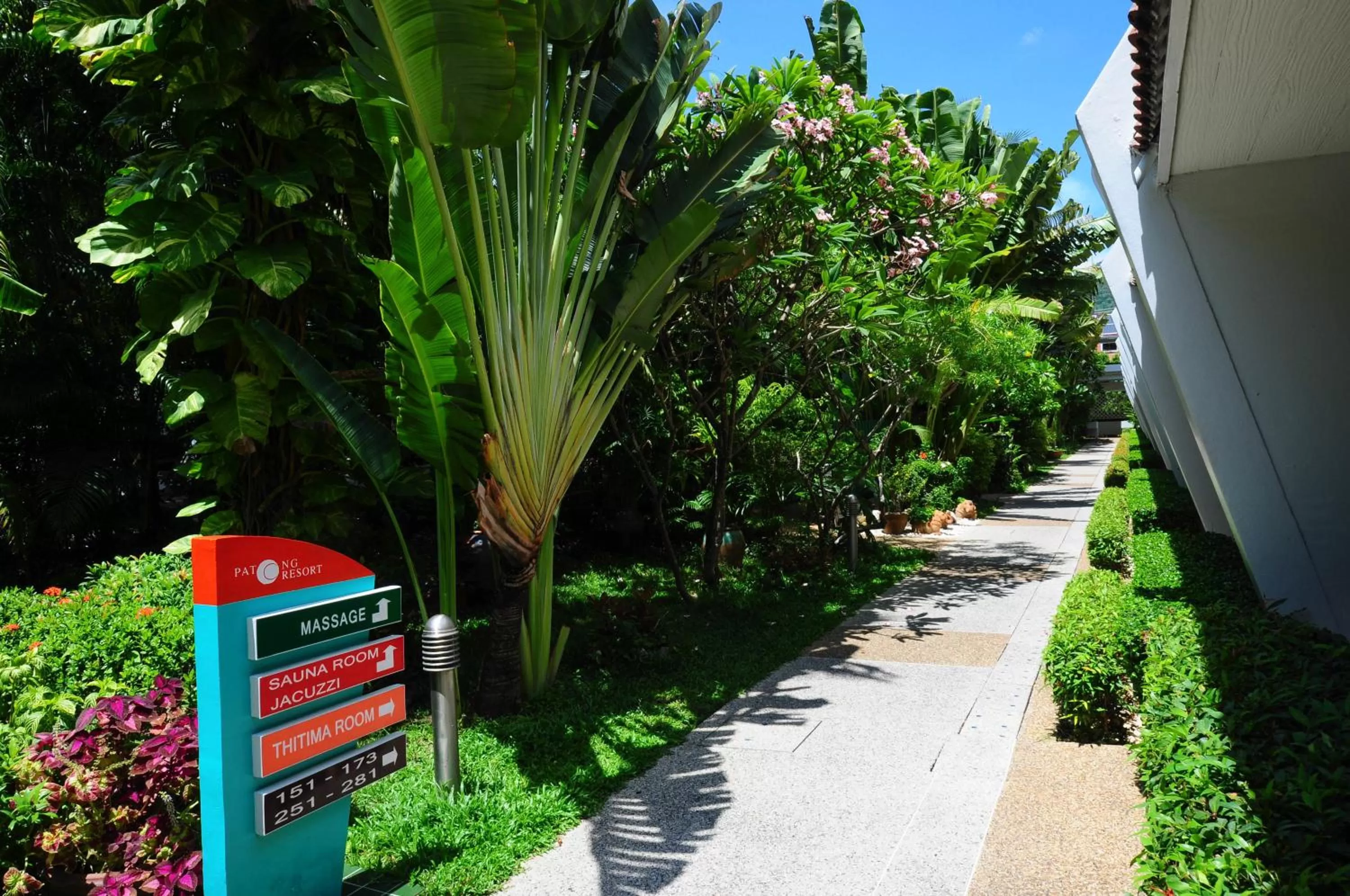 Area and facilities in Patong Resort Hotel - SHA Extra Plus