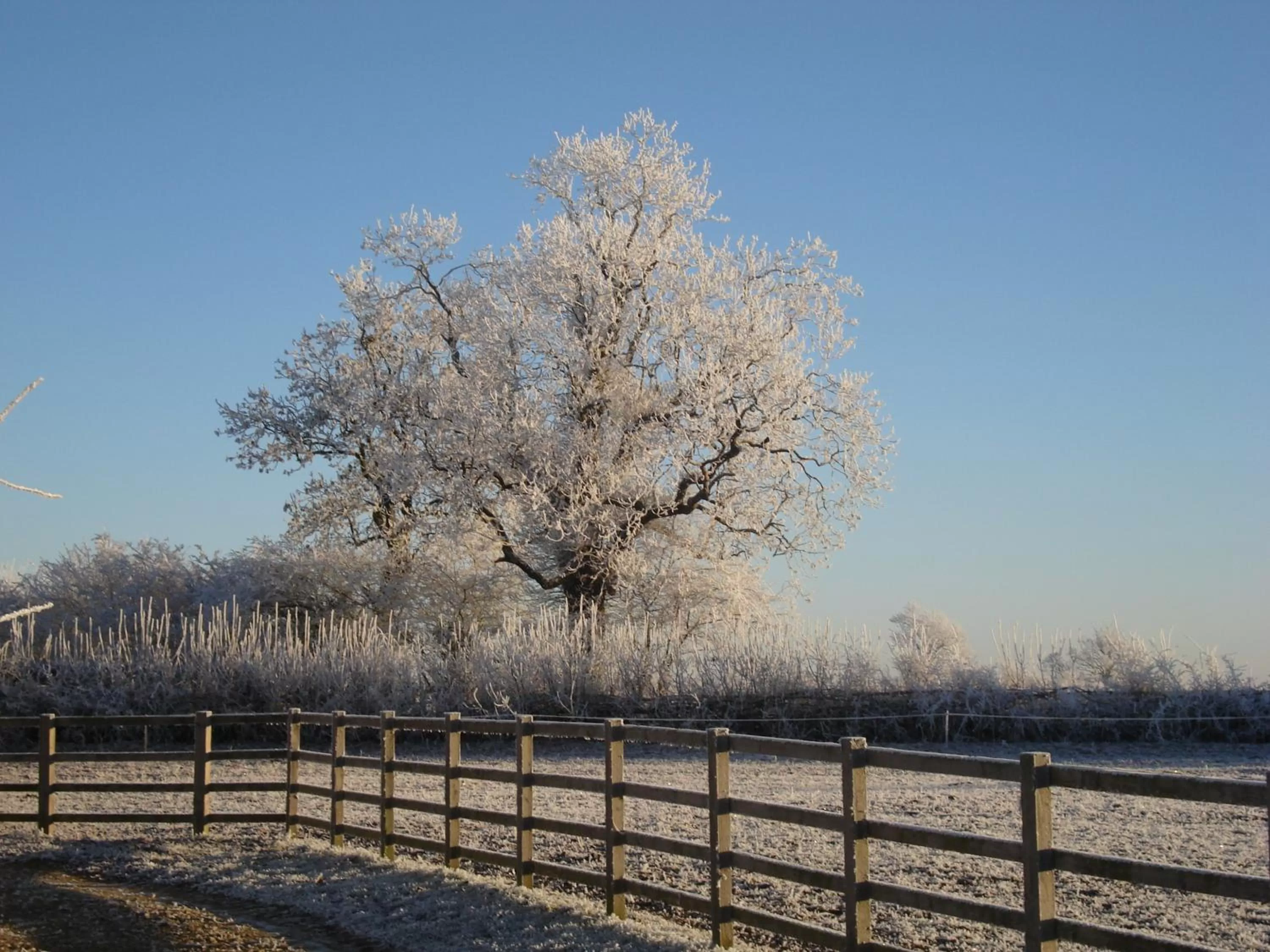 Winter in Weston Hill Farm