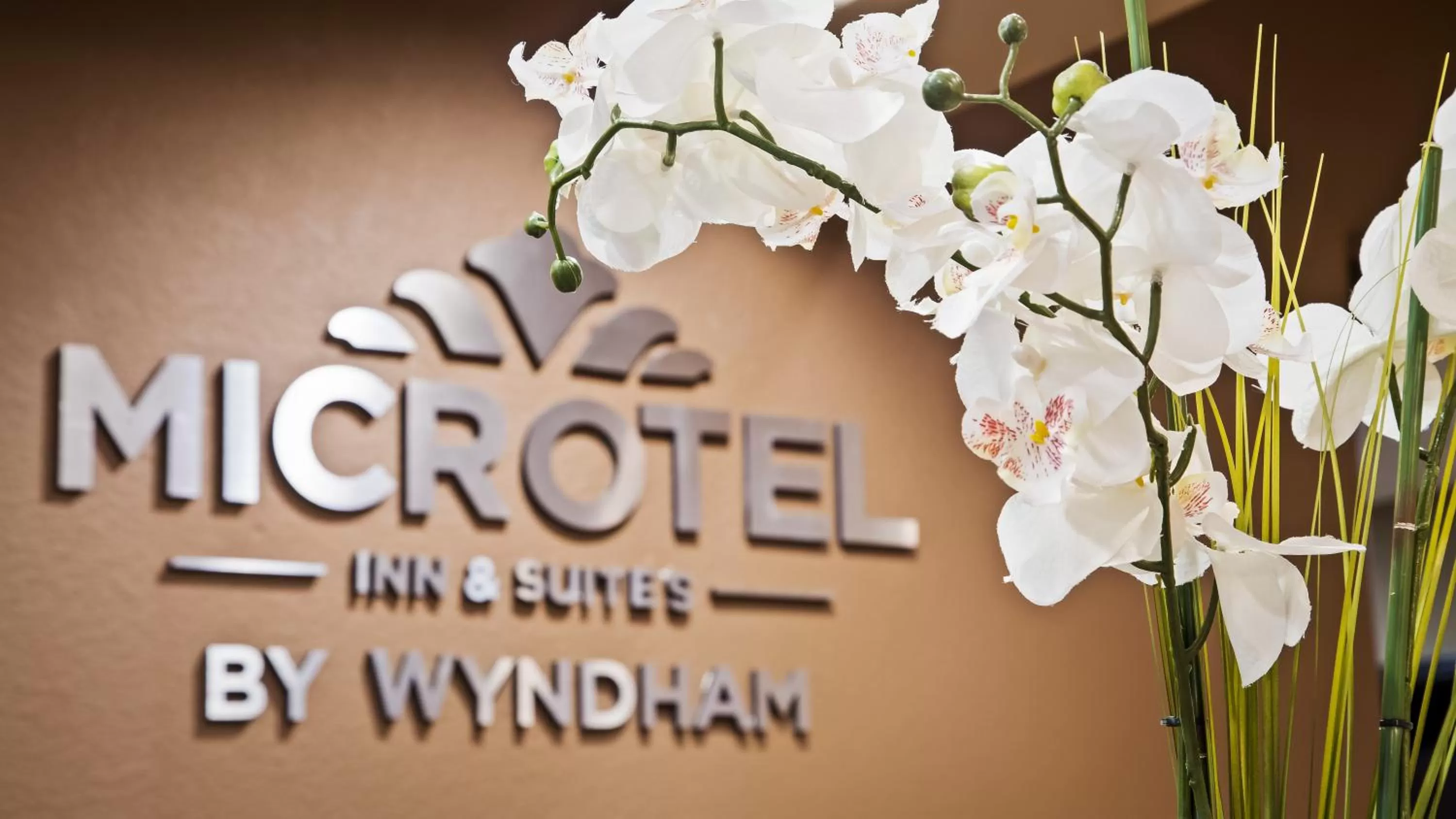 Logo/Certificate/Sign in Microtel Inn & Suites by Wyndham Round Rock