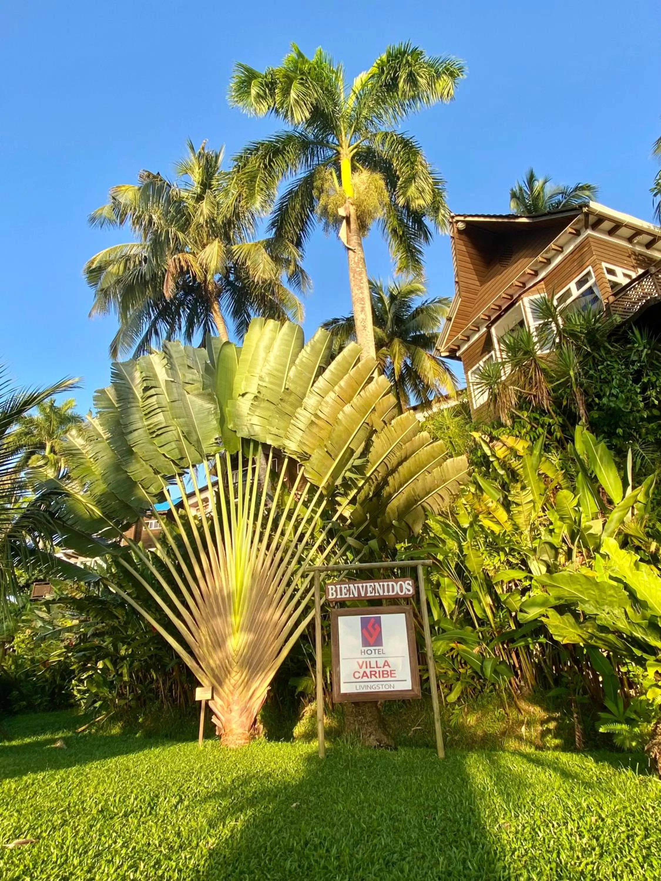 Property building in Villa Caribe