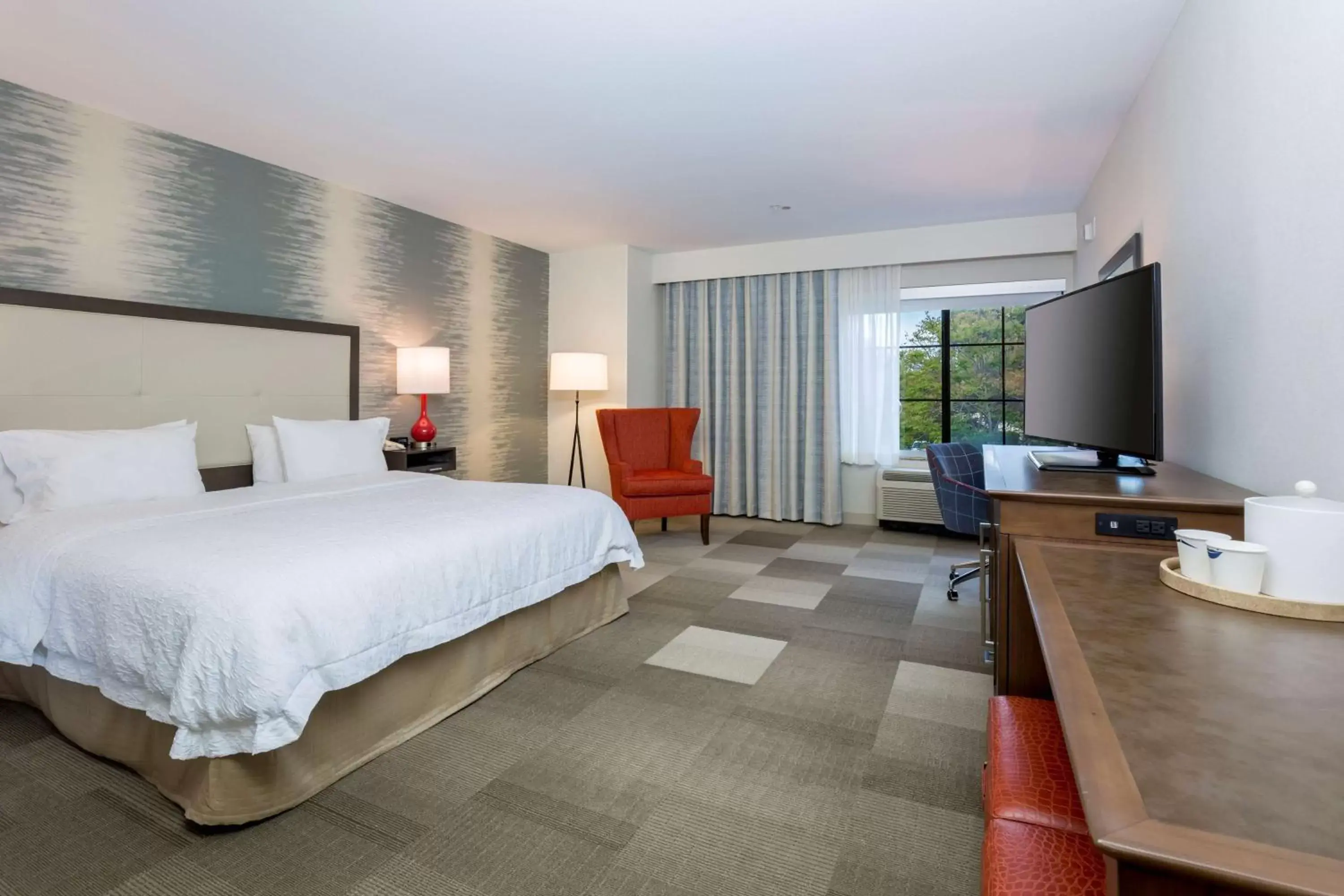 King Room - Disability Access/Hearing Accessible in Hampton Inn Santa Barbara/Goleta King Room - Disability Access/Hearing Accessible in Hampton Inn Santa Barbara/Goleta