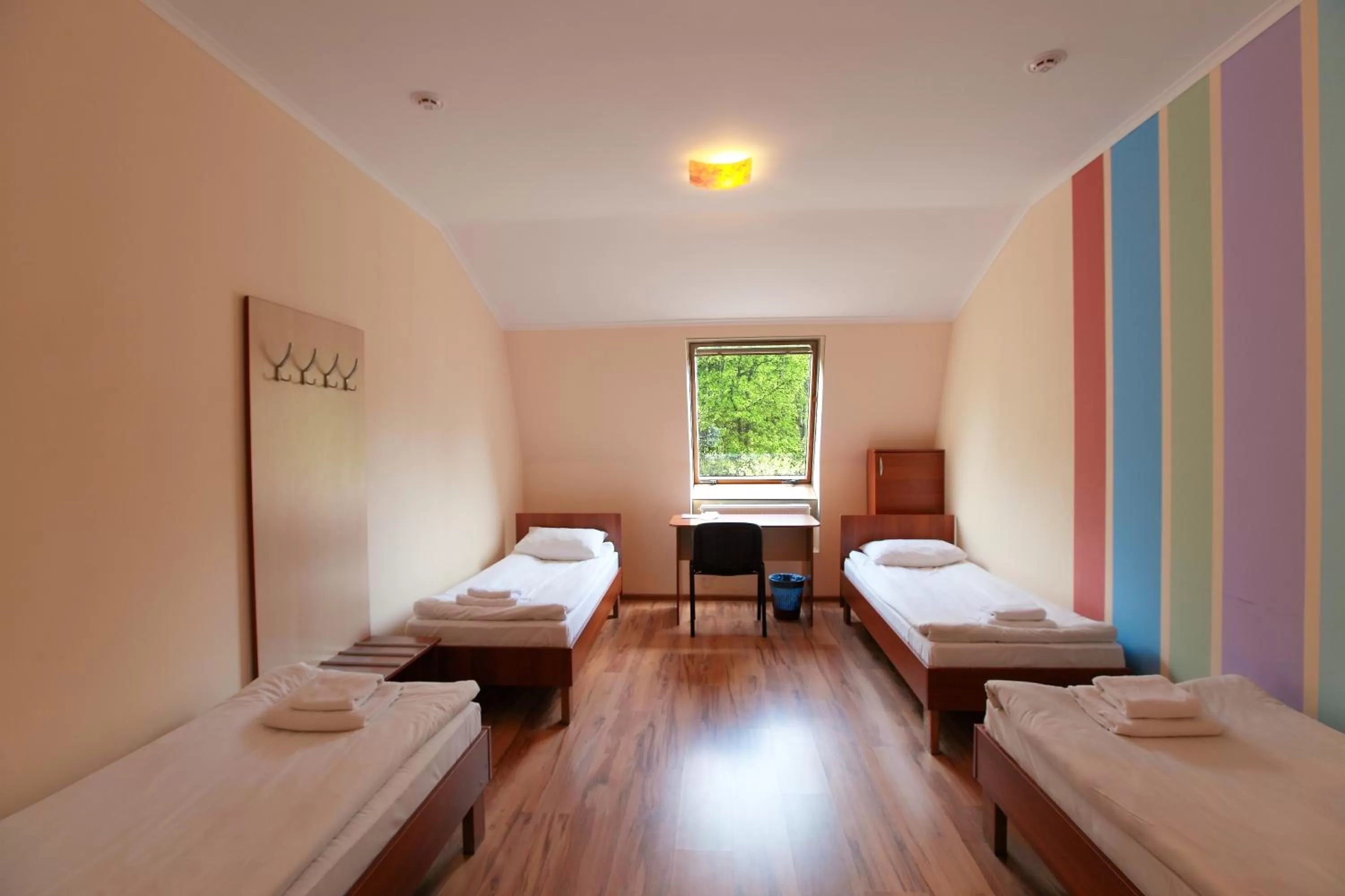 Photo of the whole room in Budget Hotel Ekotel