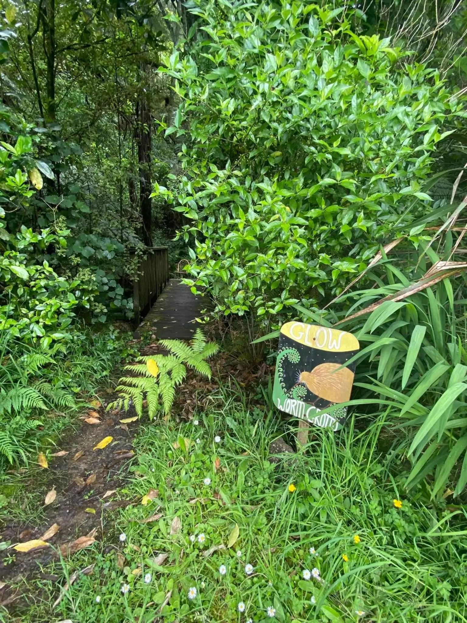 Garden in Kawai Purapura Yoga Retreat Centre