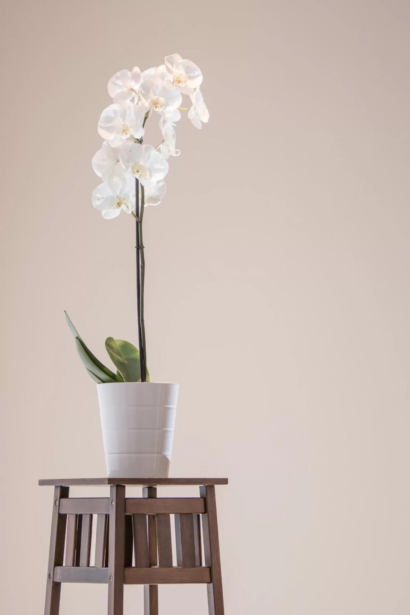 Other in Hotel Klein Amsterdam